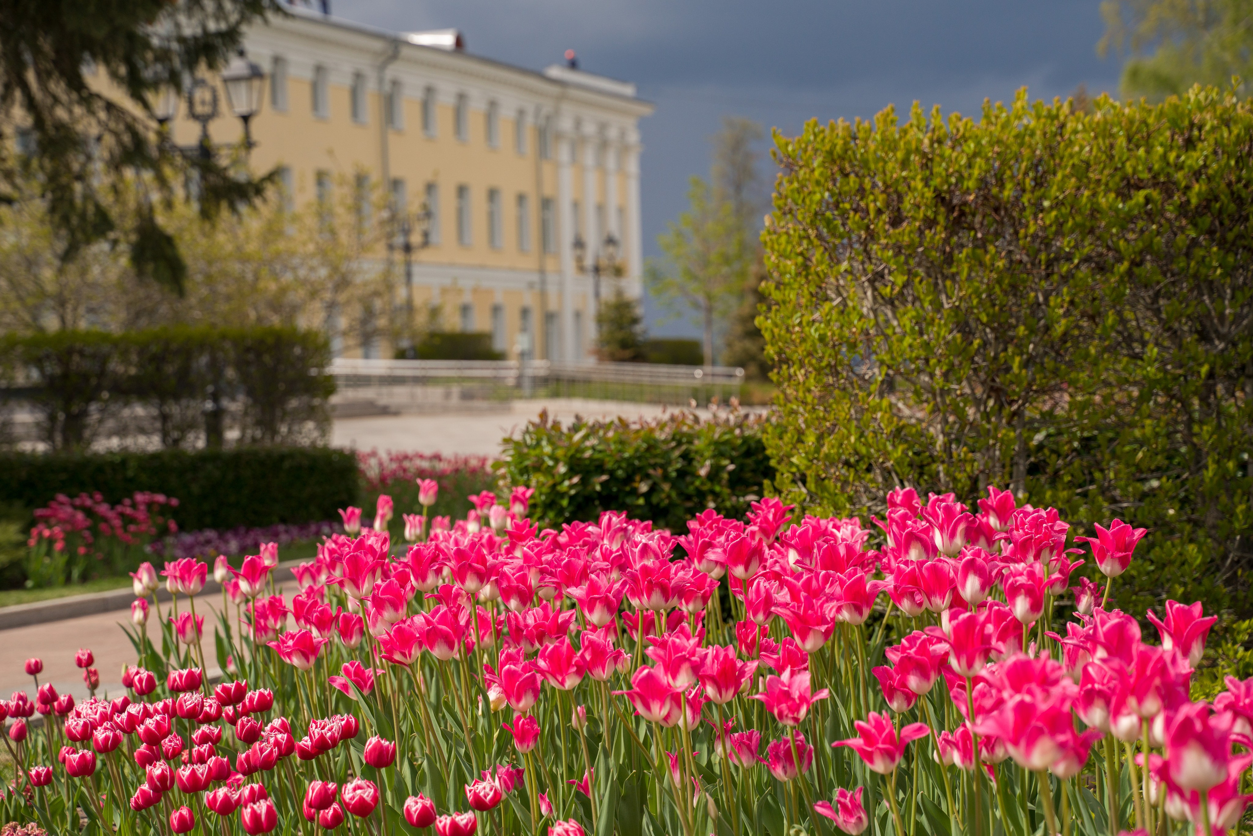Нижний Новгород. Контент-фотограф в Нижнем Новгороде Антошина Ольга