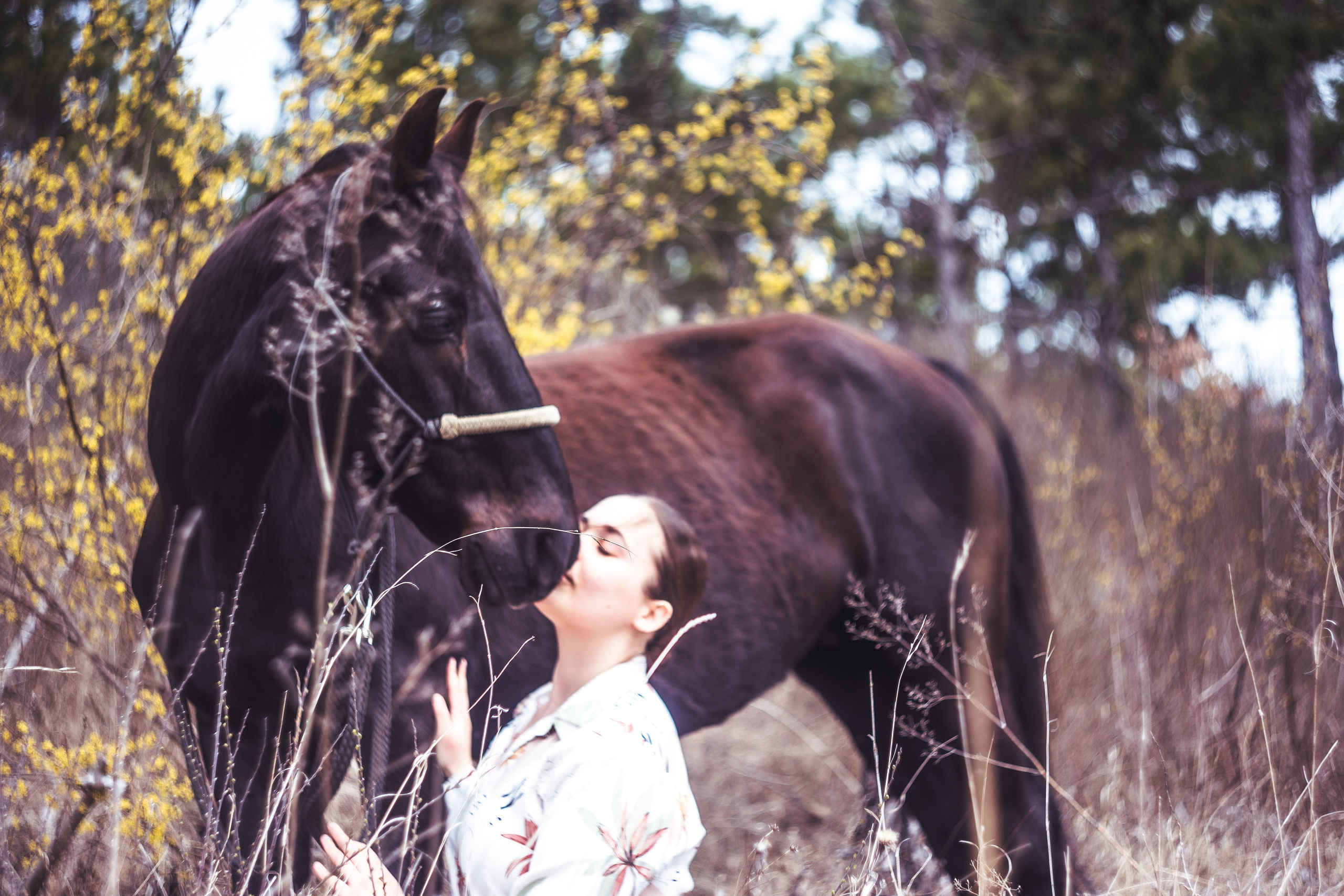 Фотосессии с лошадьми. Ваш фотограф в Крыму | Соболевская Анастасия