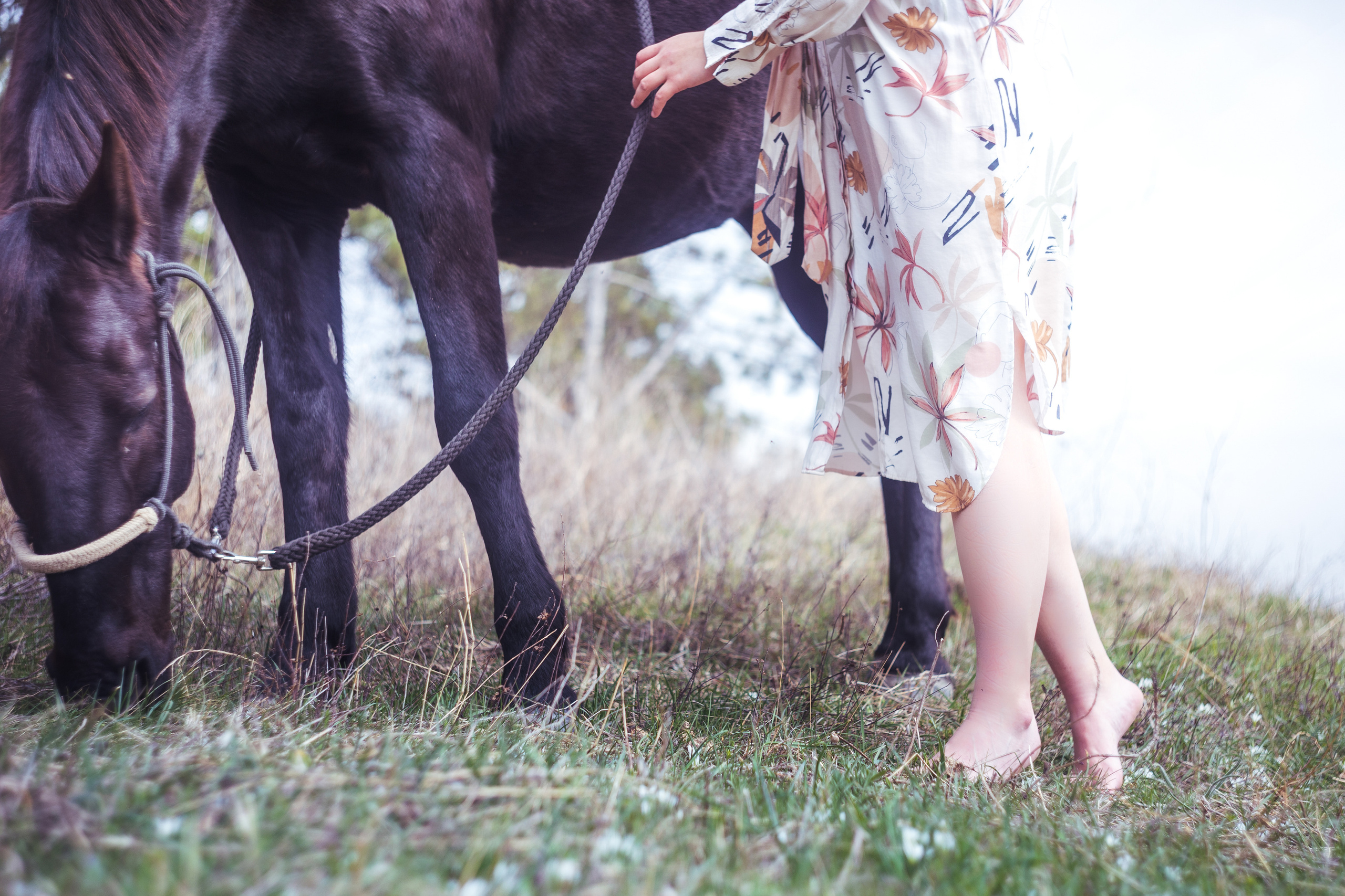 Фотосессии с лошадьми. Ваш фотограф в Крыму | Соболевская Анастасия