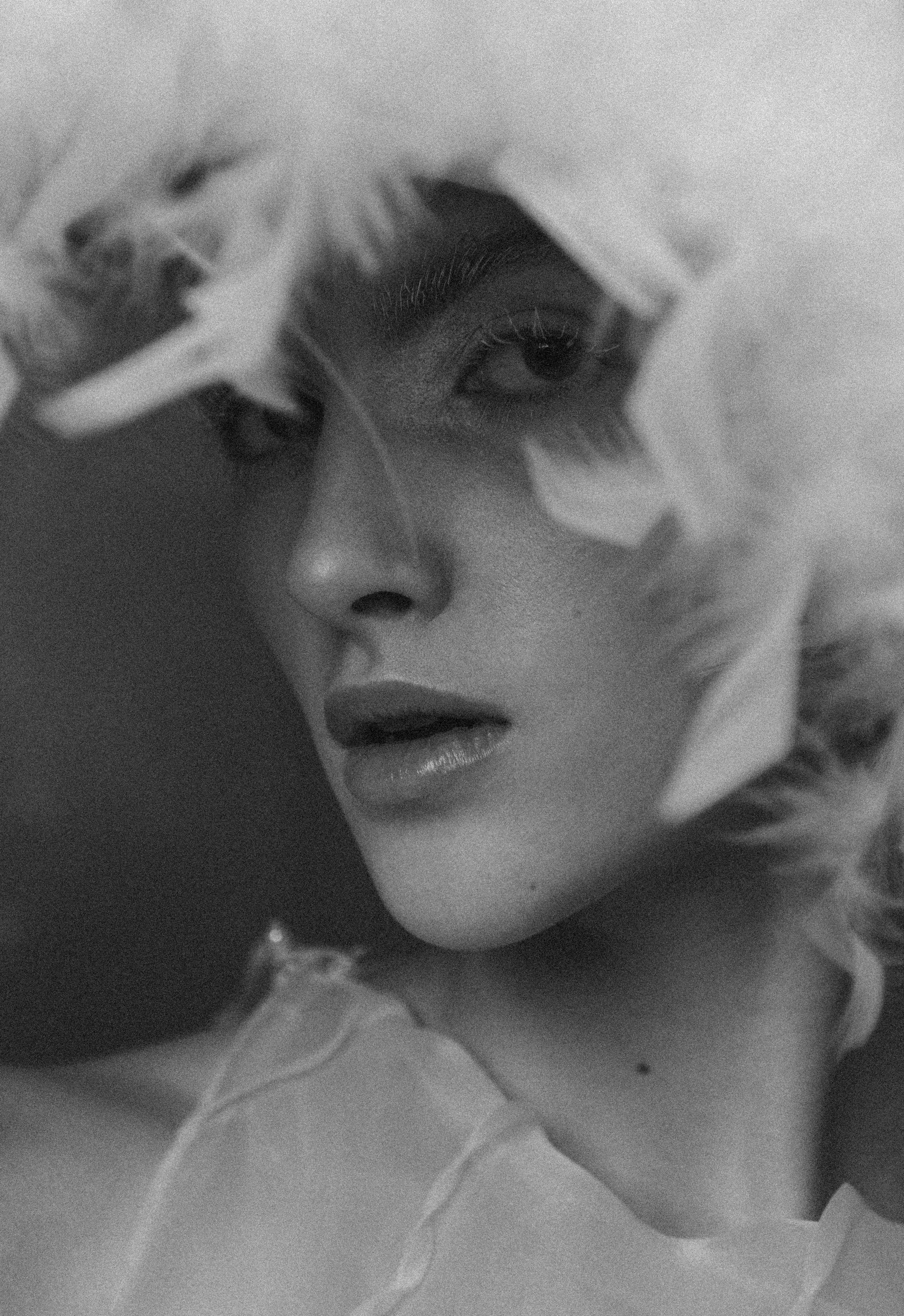 Птица. Фотограф Anita Mivchas