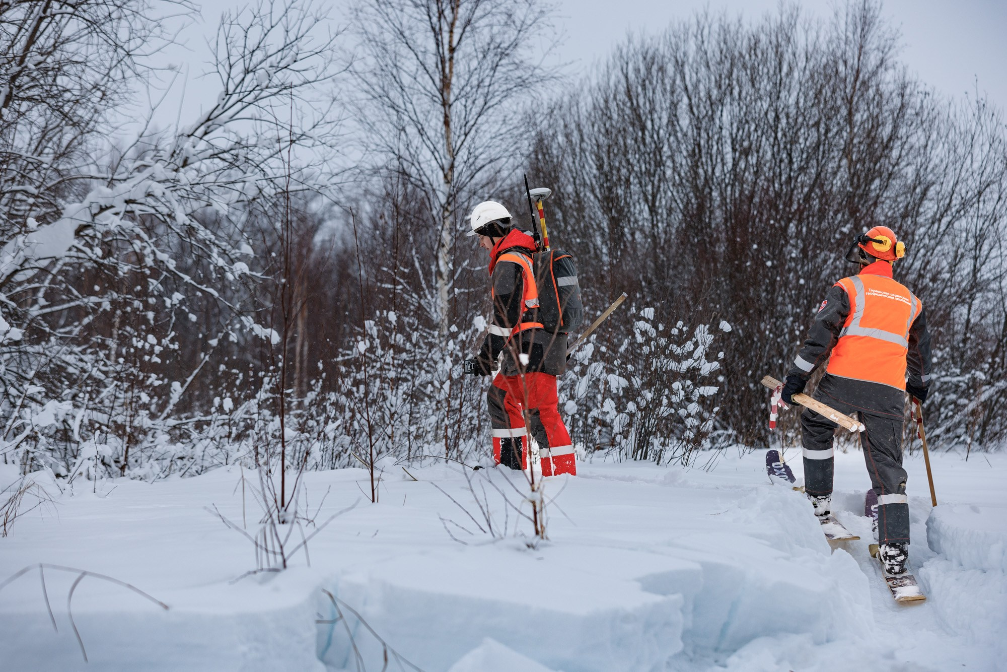 Зеленая сейсмика. Главная