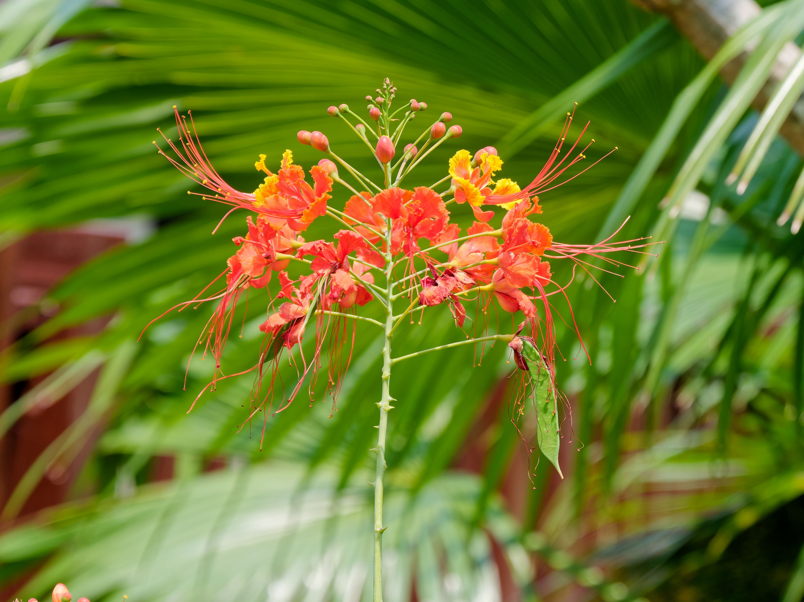 Хайнань 2026, первые впечатления. Фотопрогулки по Миру