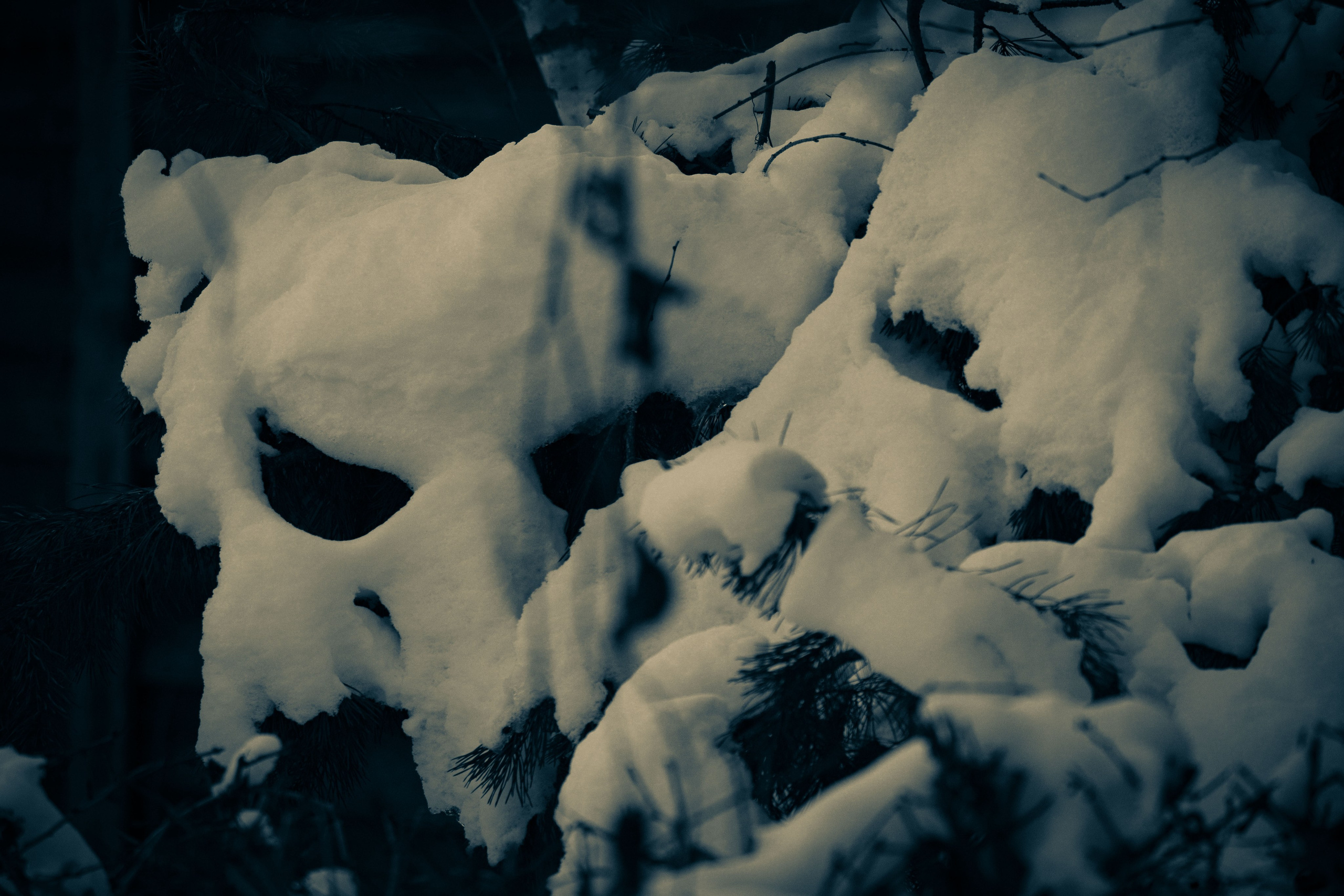 Живая планета. Фотограф художник модель Юра Козлов Москва