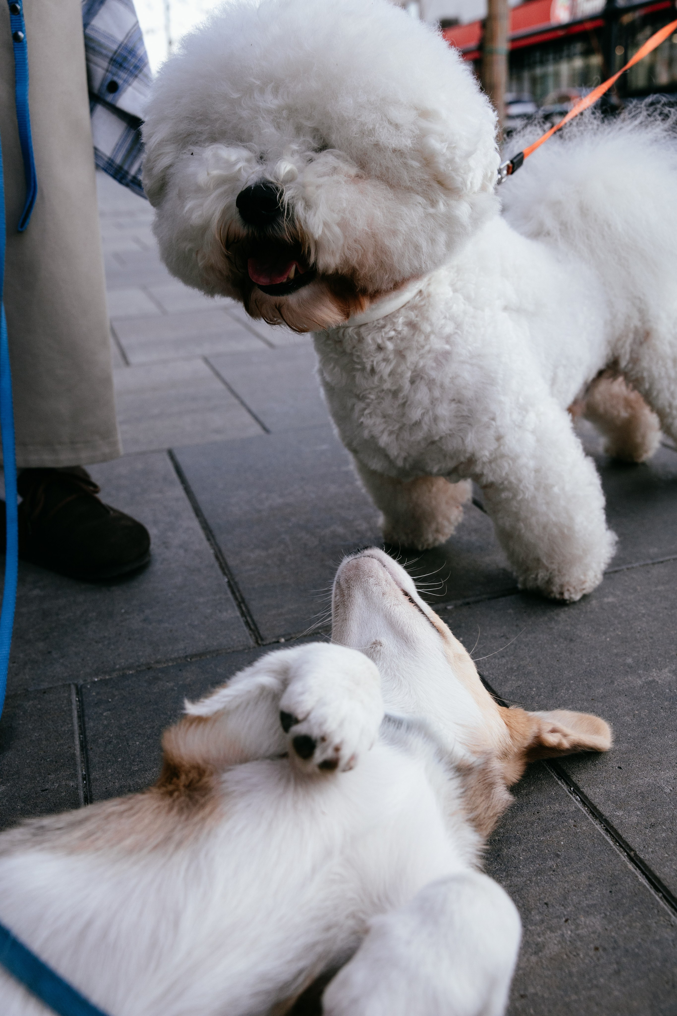 Не все дома