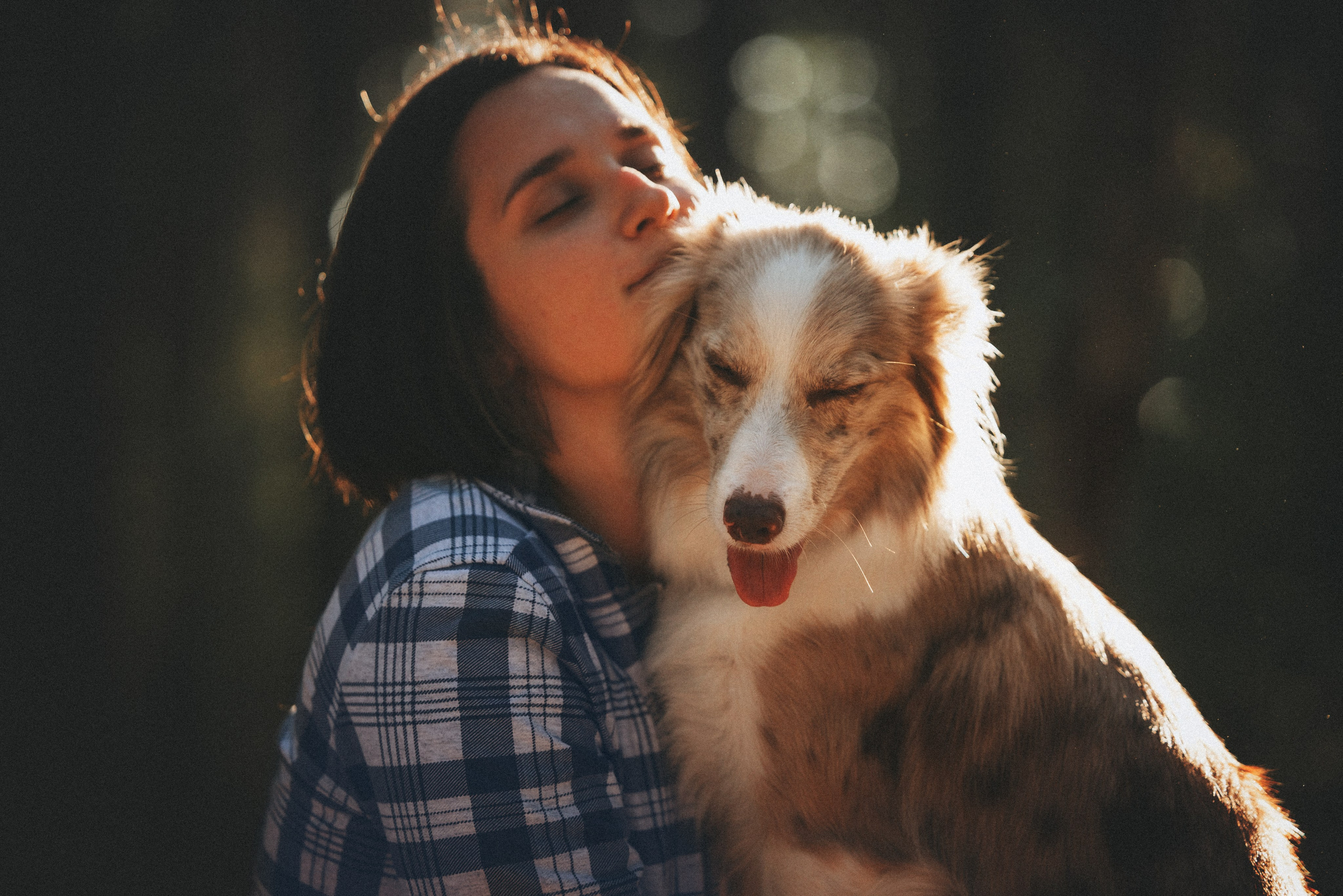 Рита, Маша и много собак. Фотограф анималист Осипчикова Мария