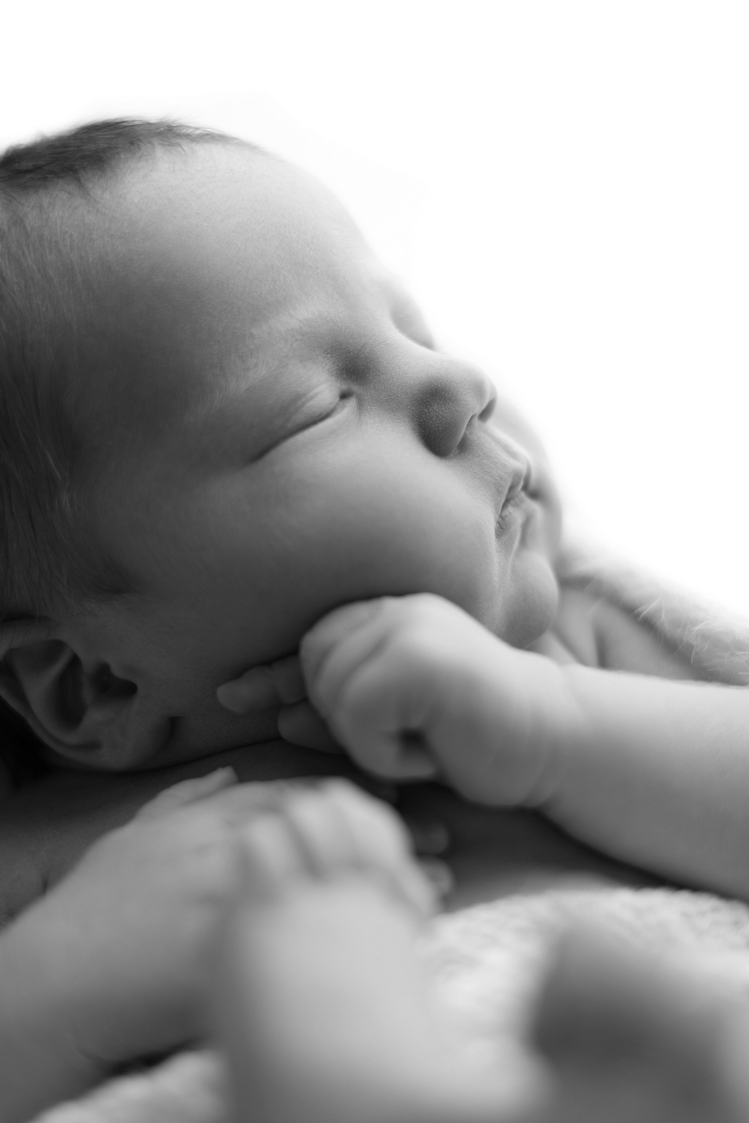 Лев. Лилия Алтухова — фотограф новорожденных в Москве и области