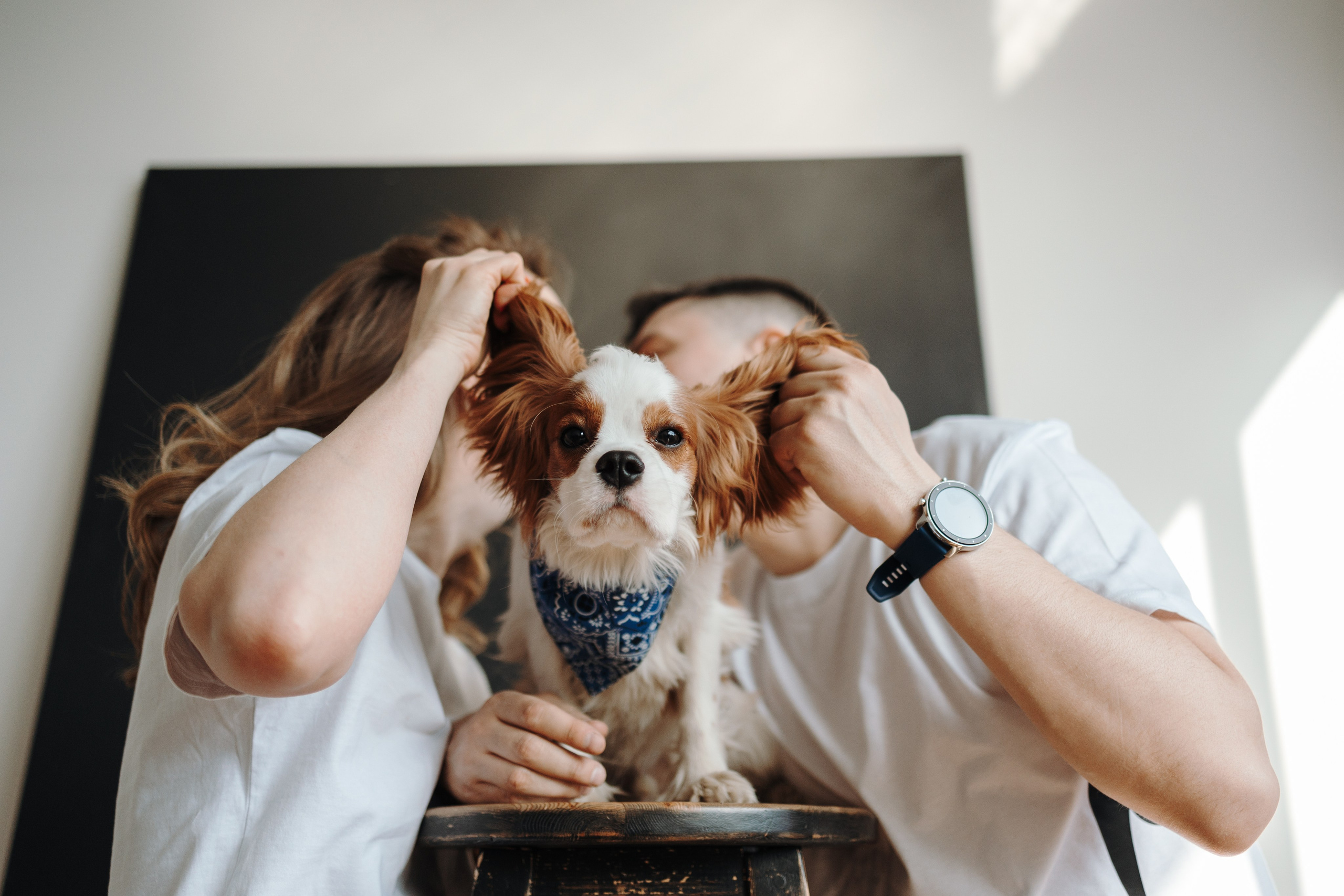 Плуто и его семья. Фотограф — Анималист | Санкт-Петербург