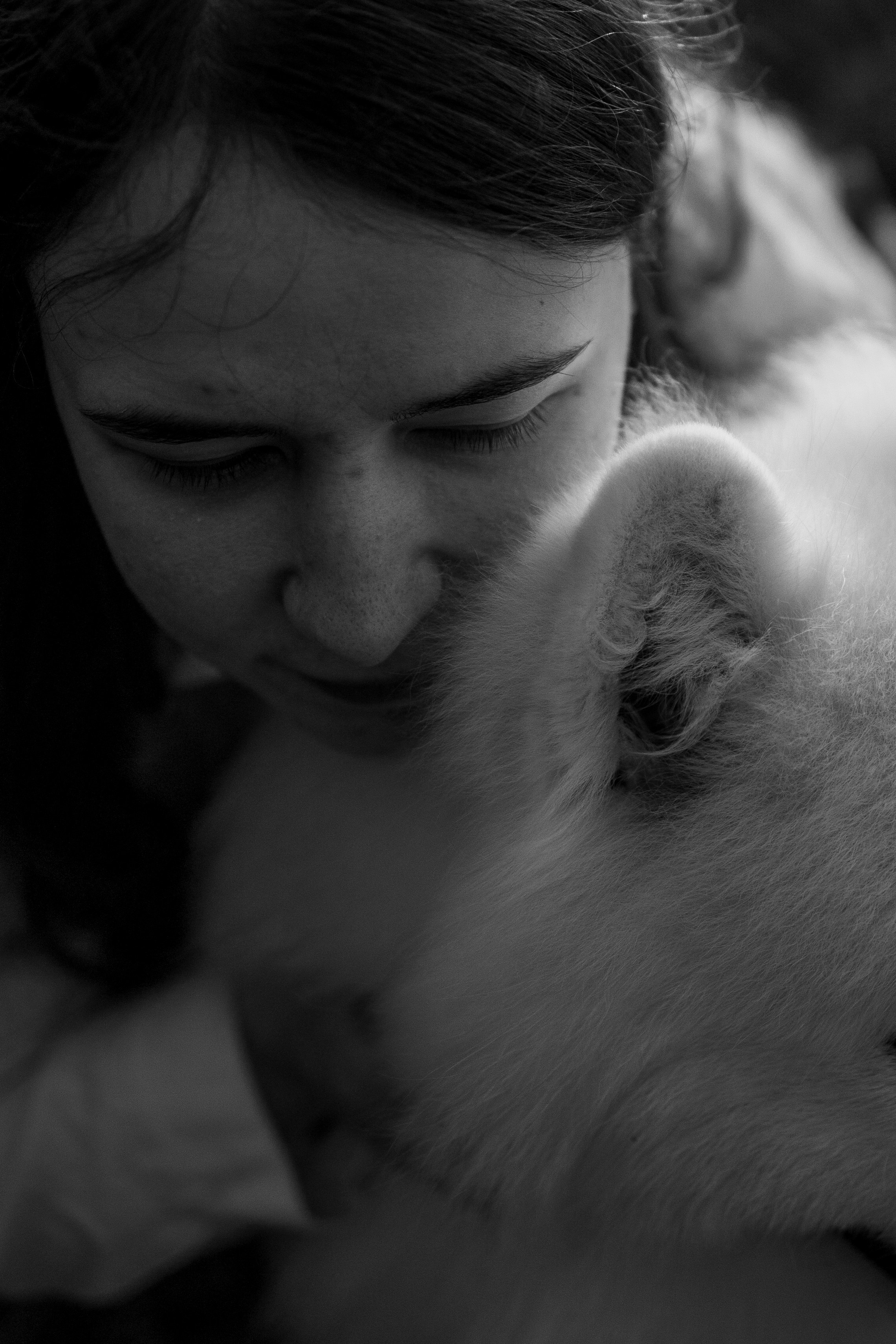 Танго и его семья. Фотограф — Анималист | Санкт-Петербург