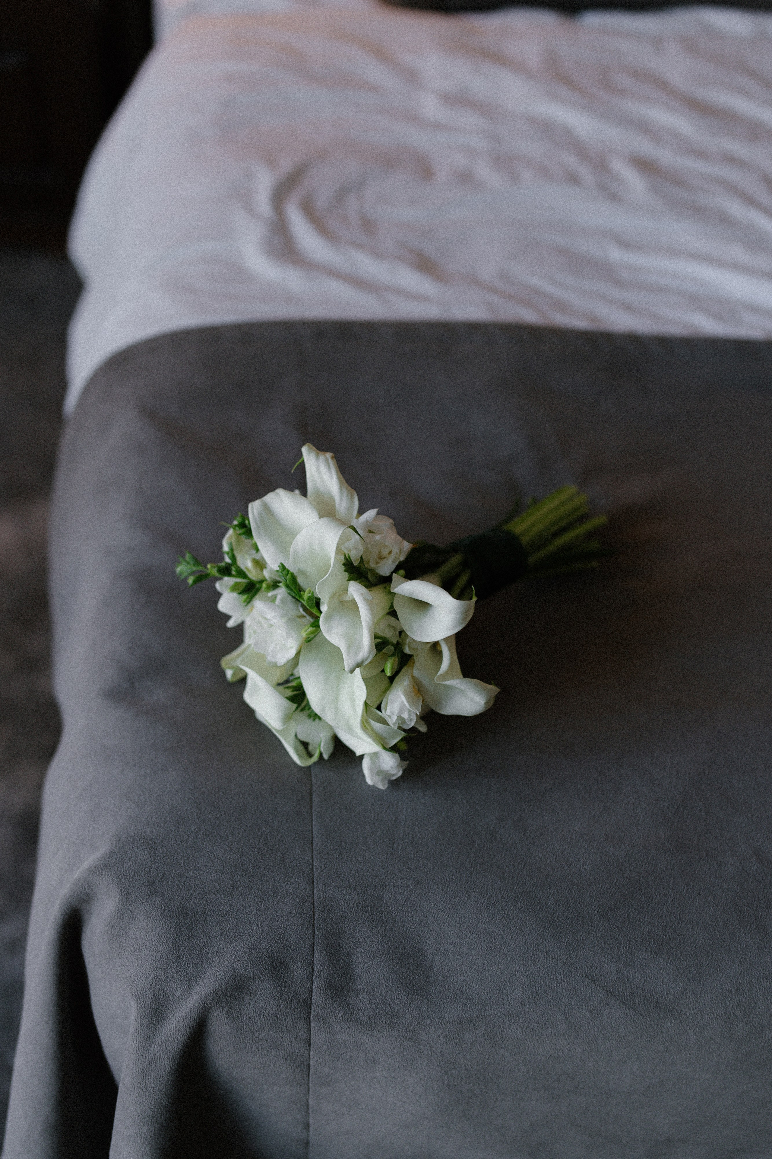 Даниил и Анна. Свадебный и семейный фотограф в Краснодаре/Геленджике/Сочи/Санкт-Петербурге