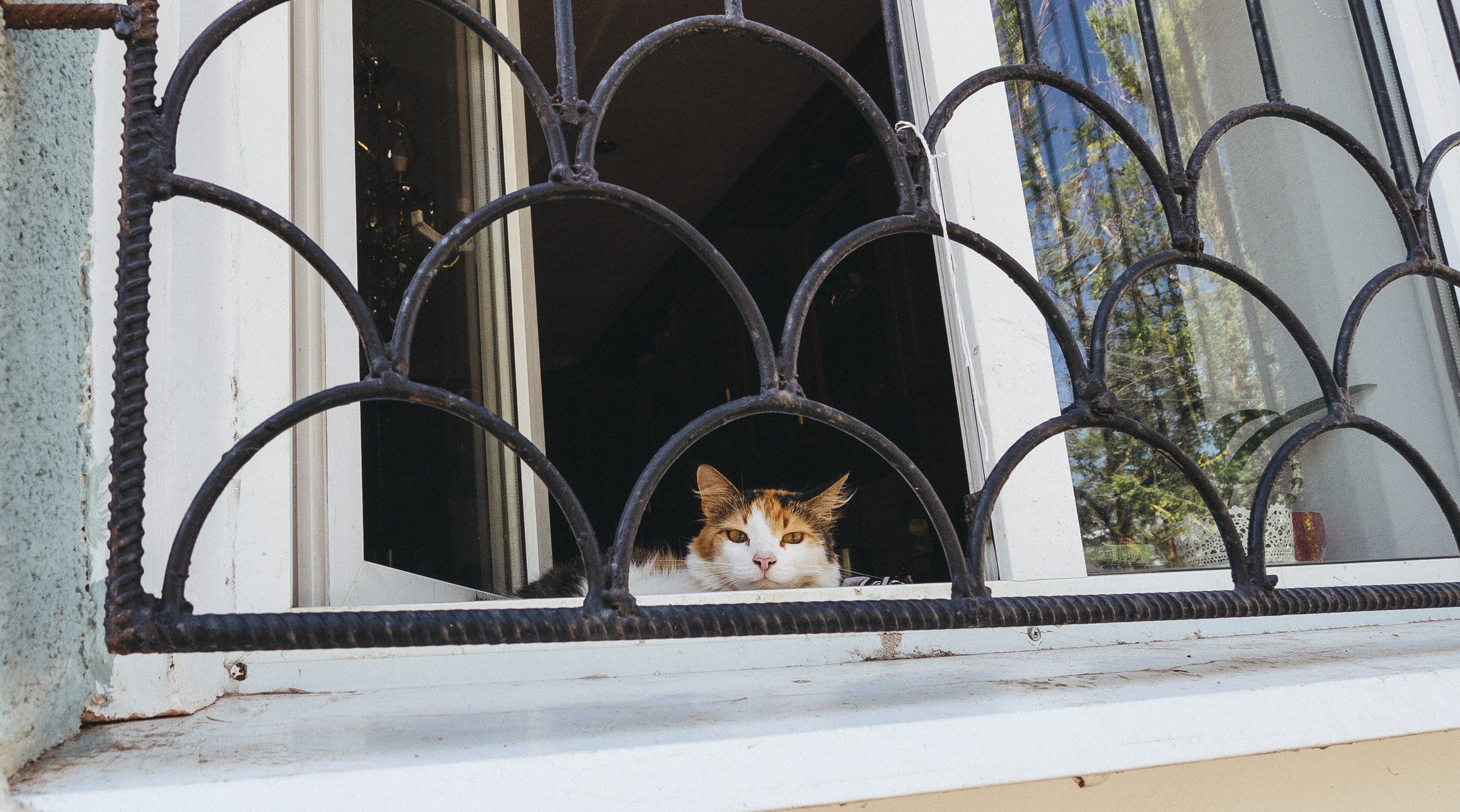 Boksitogorsk, 24 🤎. <3