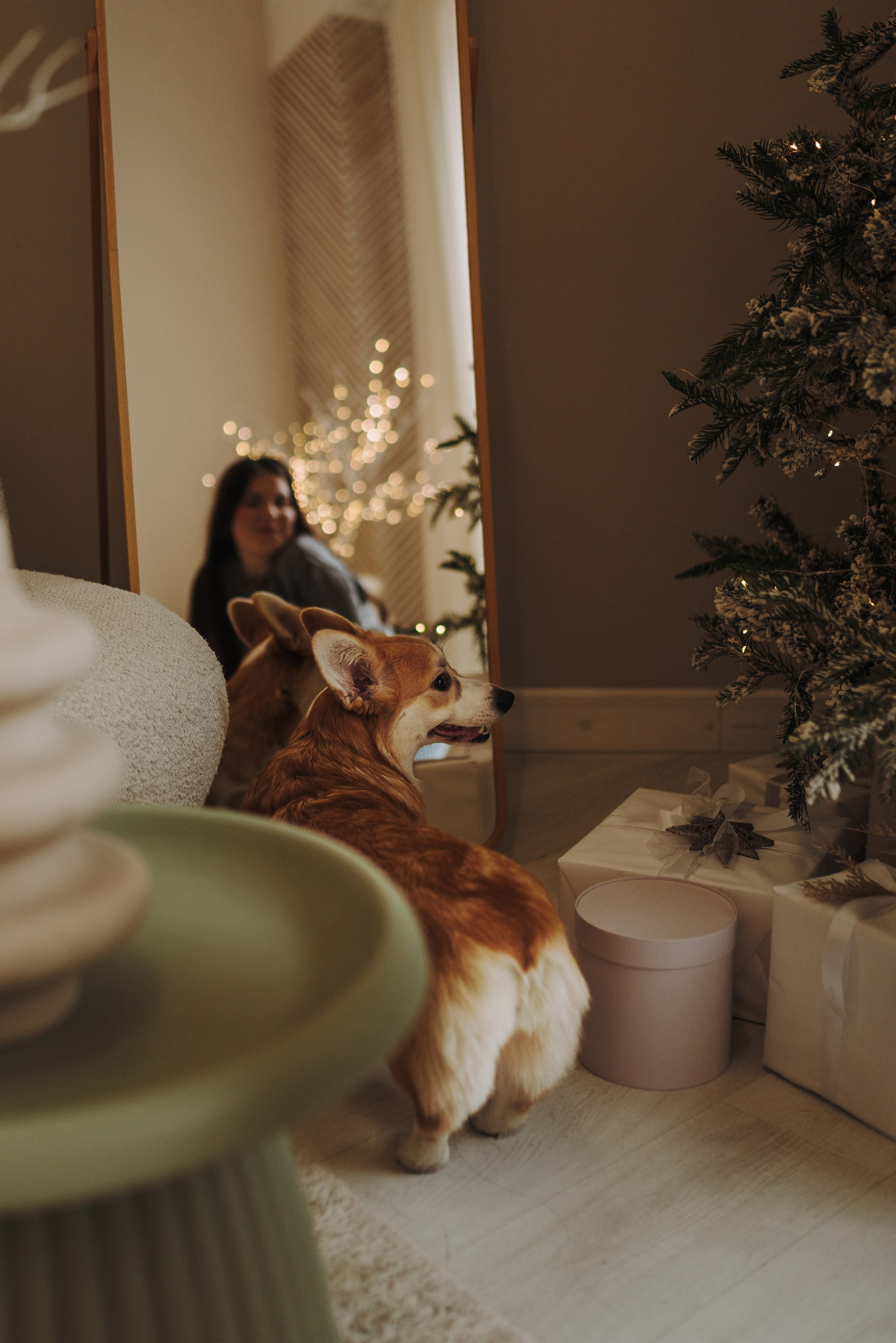 Александра и Бри. Фотограф анималист в Спб недорого Олеся Майорова