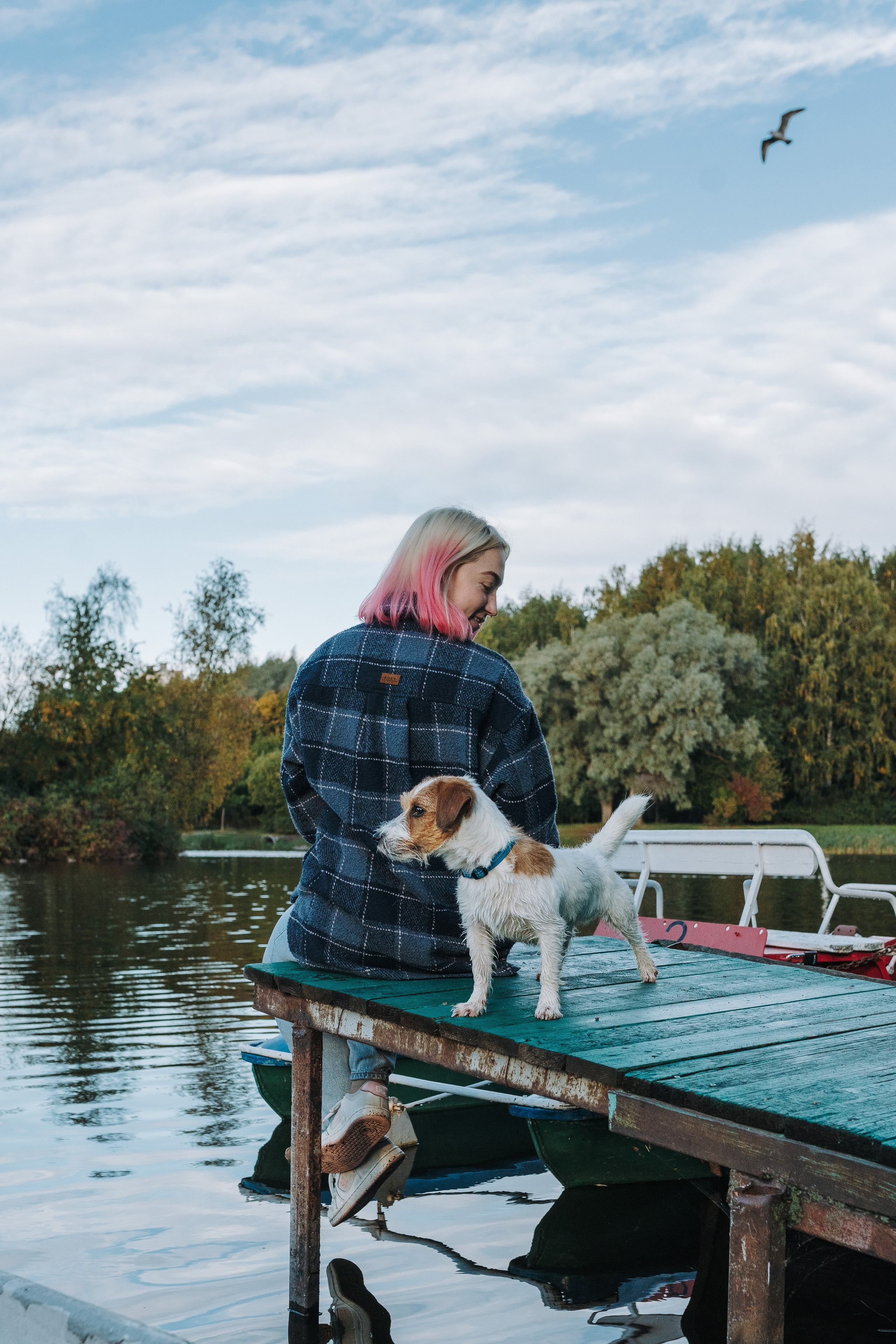 Фотосессия с маленькой собакой Спб. Фотограф анималист в Спб недорого Олеся Майорова