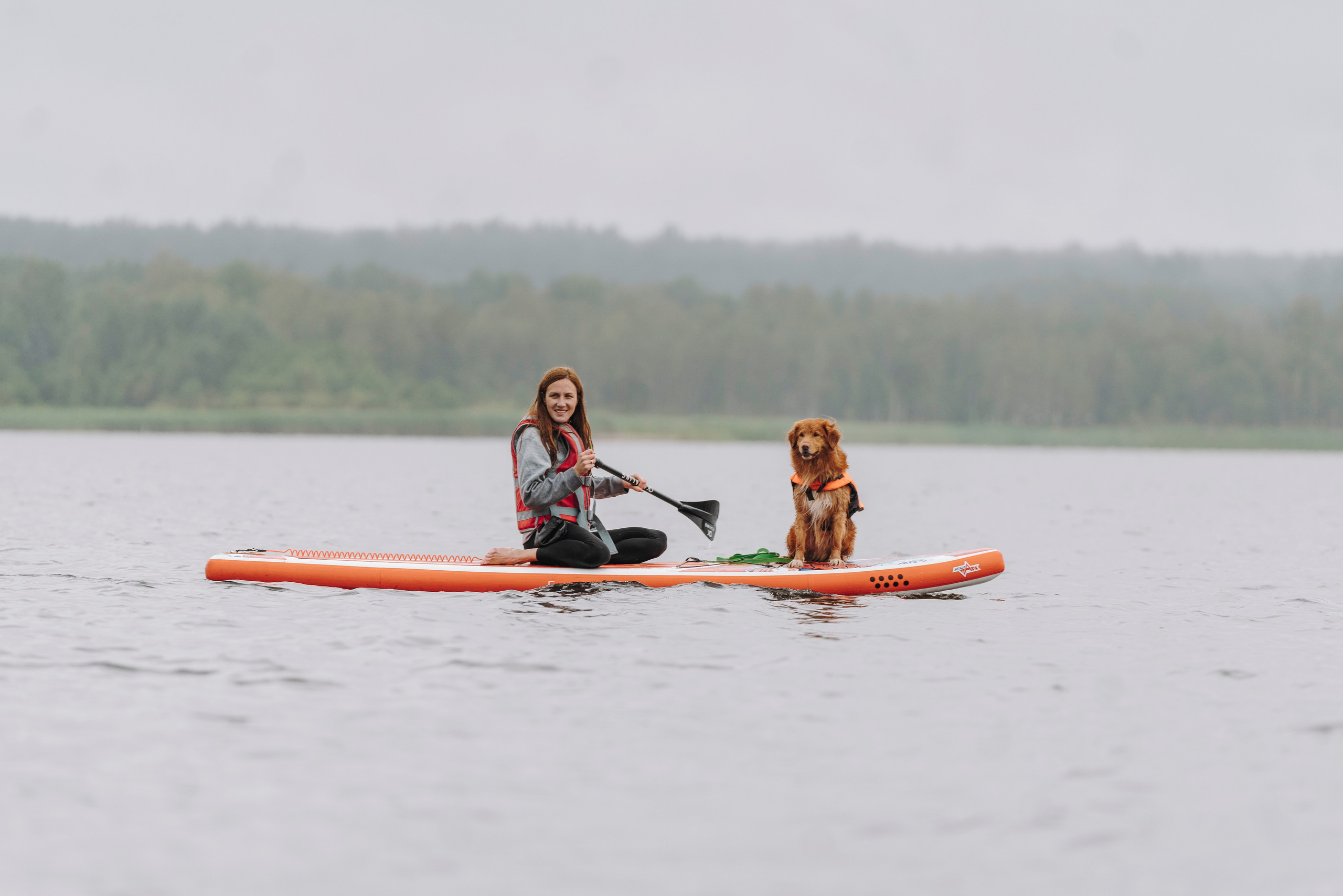 Катание на сапах с собаками. Фотограф анималист в Спб недорого Олеся Майорова