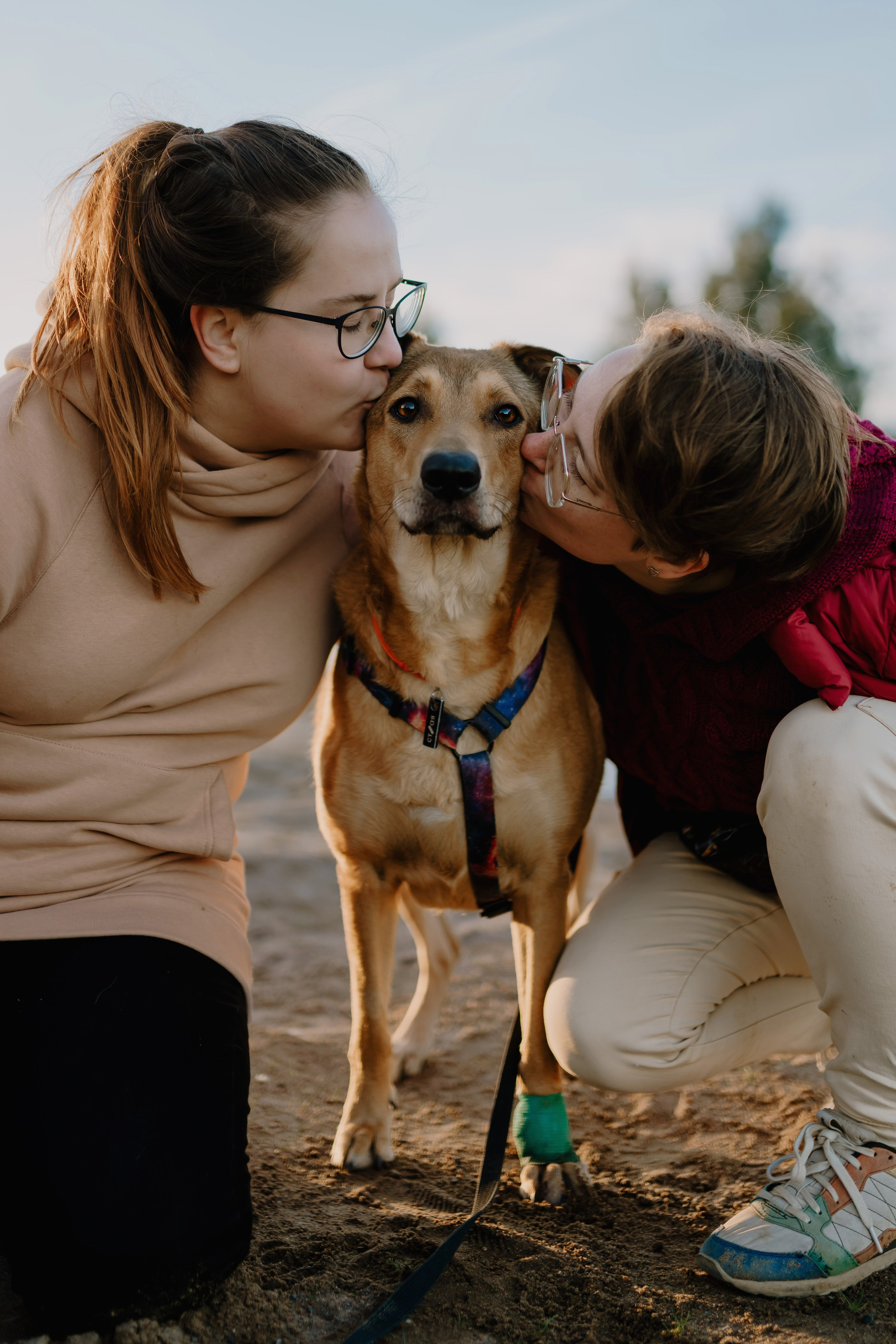 Семейная фотосессия с двумя собаками на закате. Фотограф анималист в Спб недорого Олеся Майорова