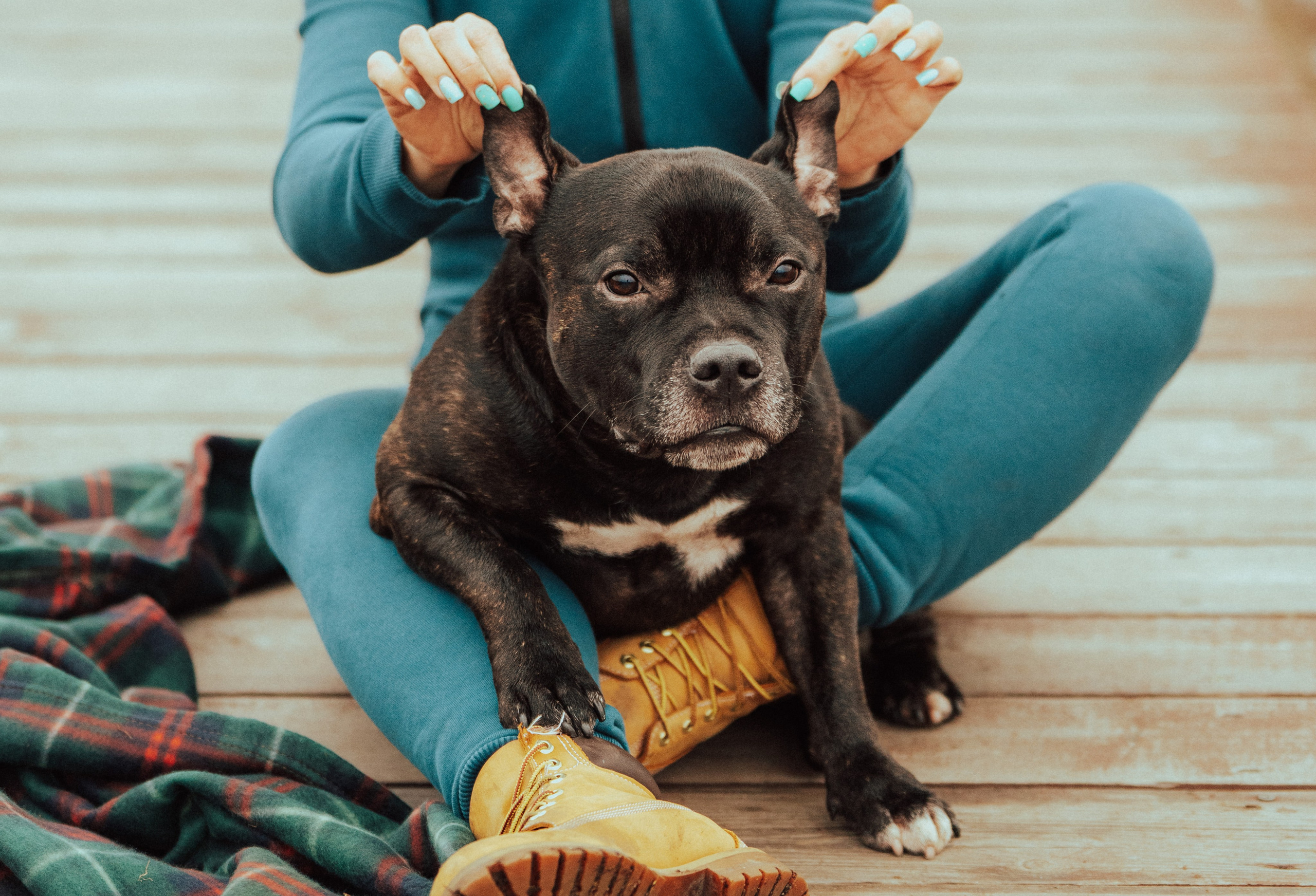 Фотограф анималист в Санкт-Петербурге. Фотограф анималист в Спб недорого Олеся Майорова