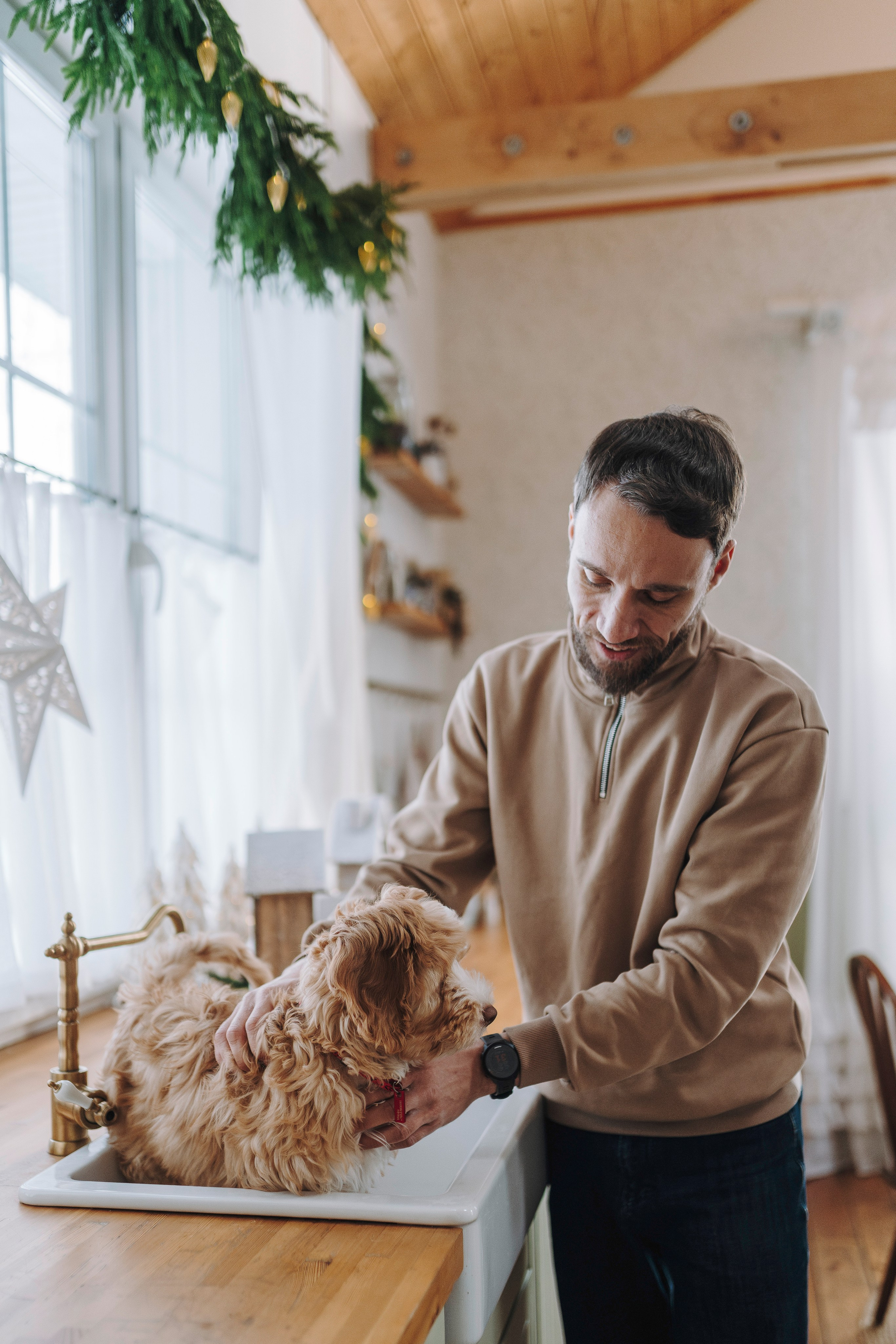 Мёрфи, Таня и Антон. Фотограф анималист в Спб недорого Олеся Майорова