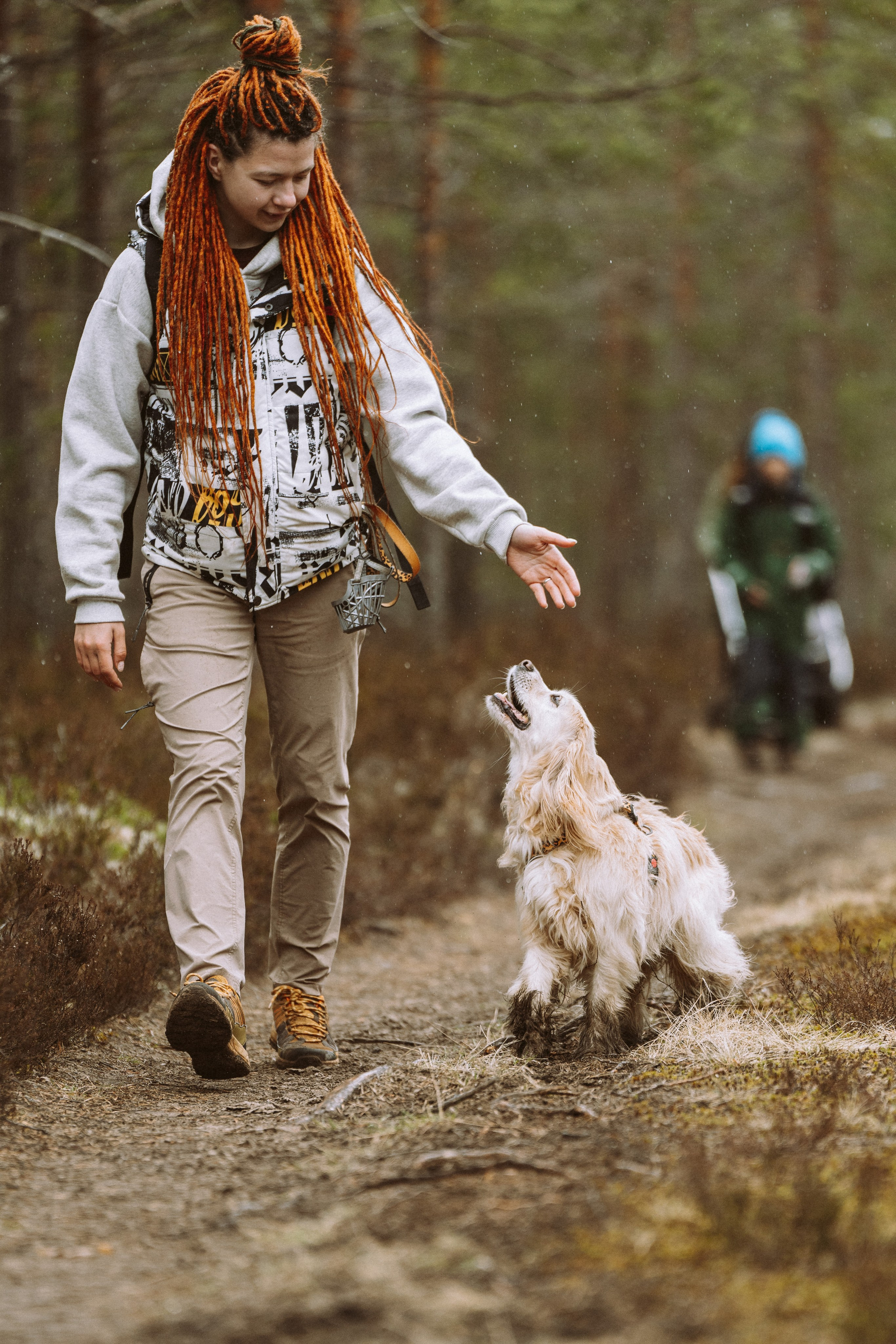 Дог трекинг к финскому хутору. Фотограф анималист в Спб недорого Олеся Майорова