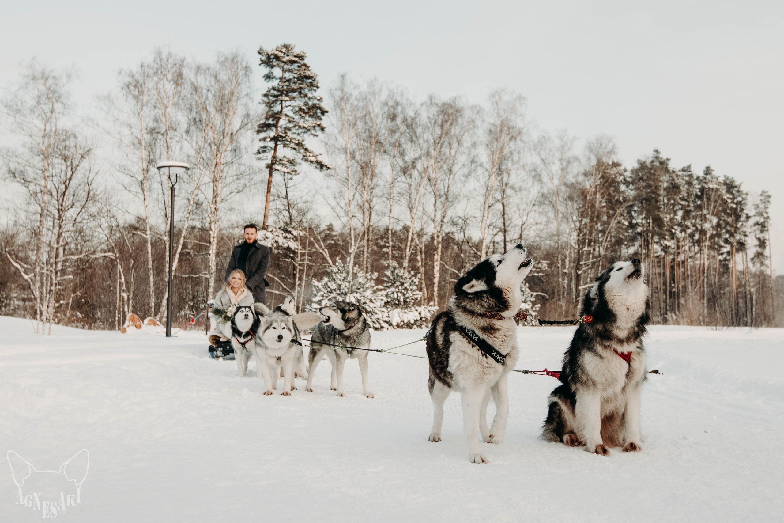 Артем и Елена. Agnes Aki  Твой НЮ фотограф в Москве