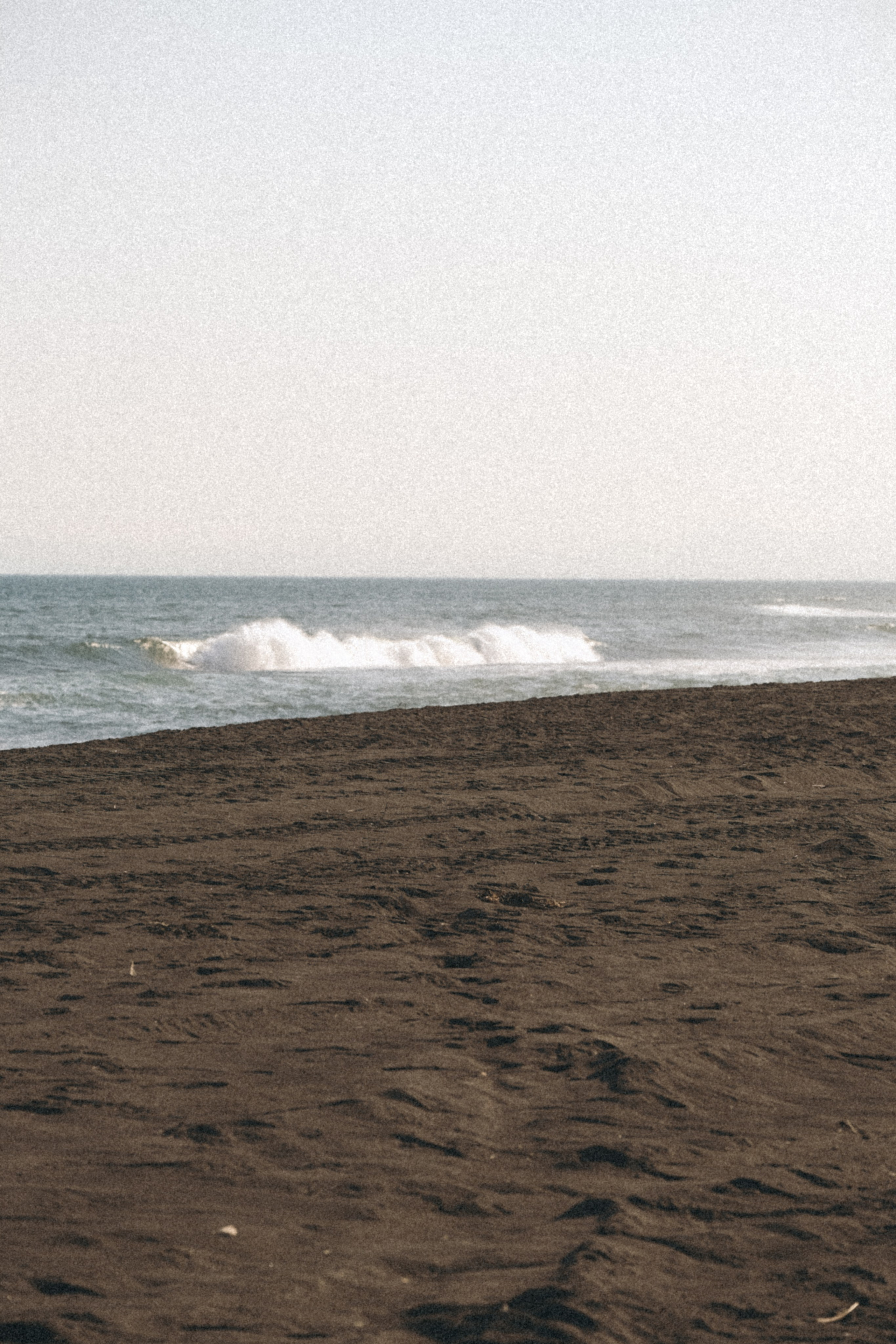 Тихий океан. Профессиональный фотограф, Санкт-Петербург — Виктория Богомолова