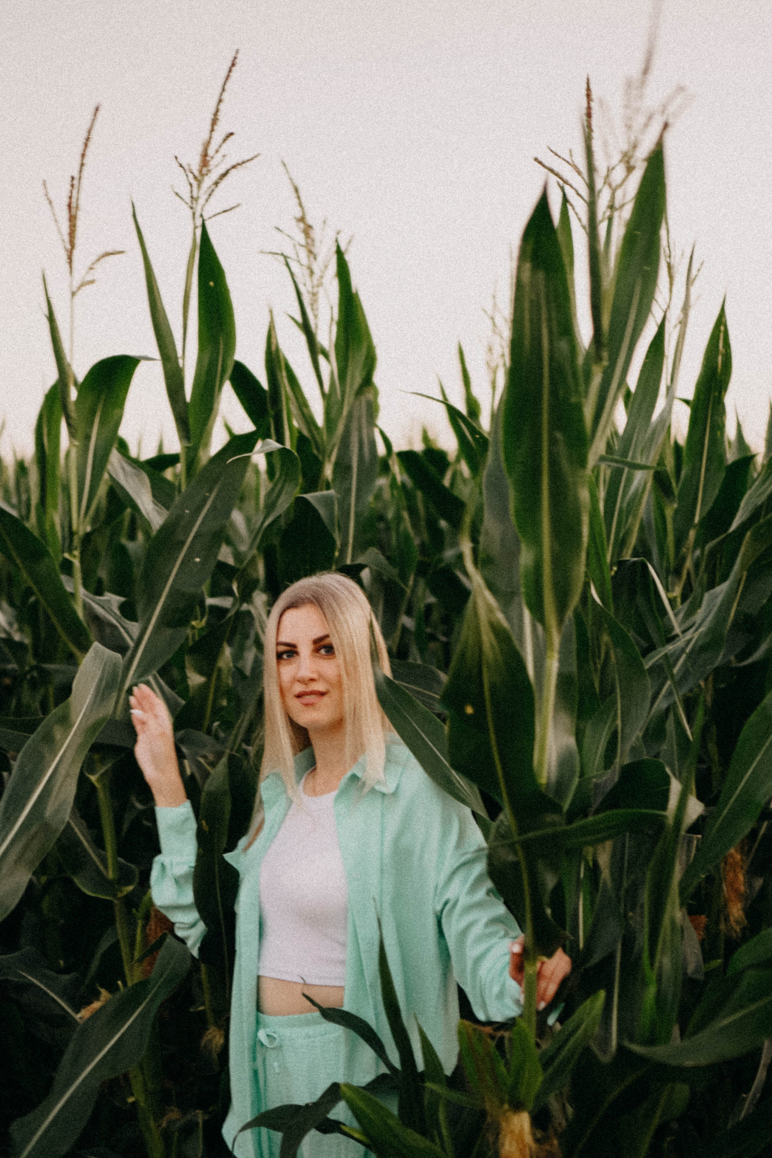 Летний вечер. Профессиональный фотограф, Санкт-Петербург — Виктория Богомолова