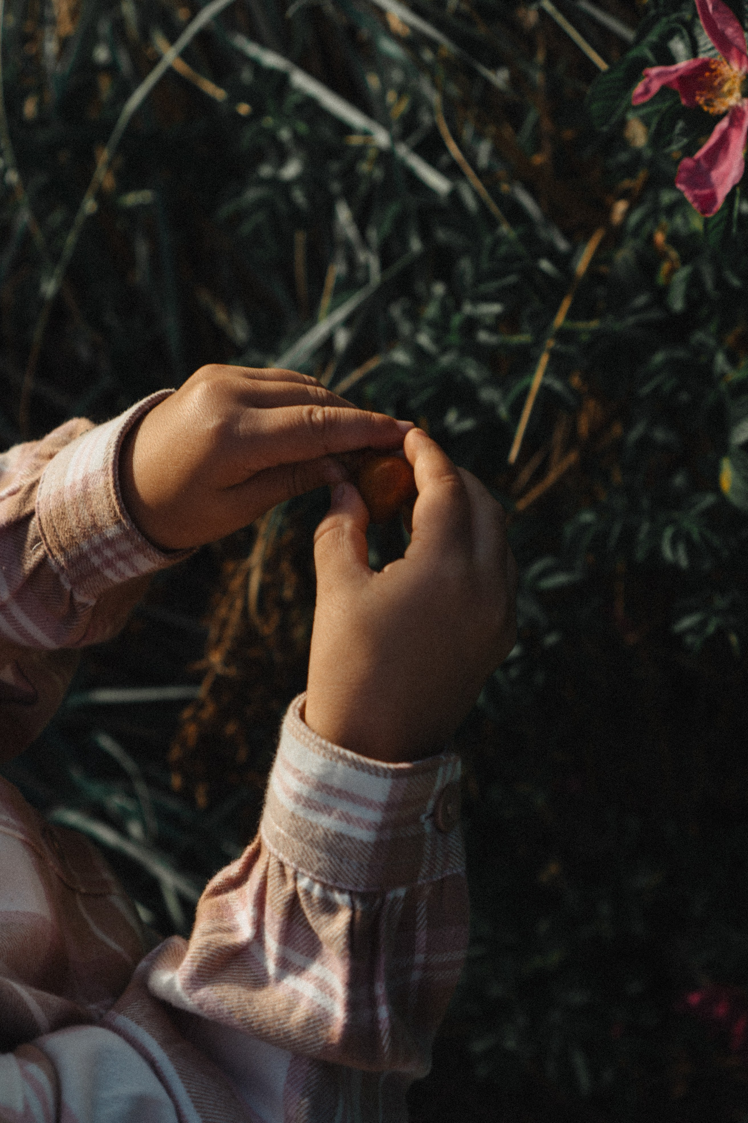 МАМА И ДОЧКА НА ФИНСКОМ ЗАЛИВЕ. Профессиональный фотограф, Санкт-Петербург — Виктория Богомолова