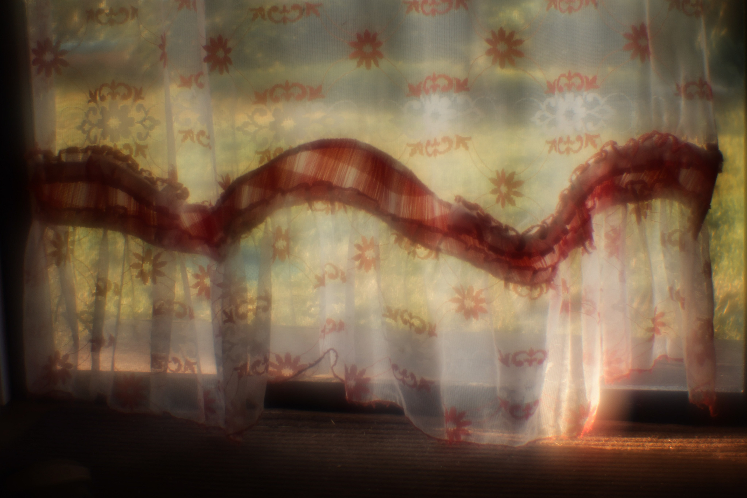 Поэзия повседневности. Семейный фотограф в Москве Марина Аргунова