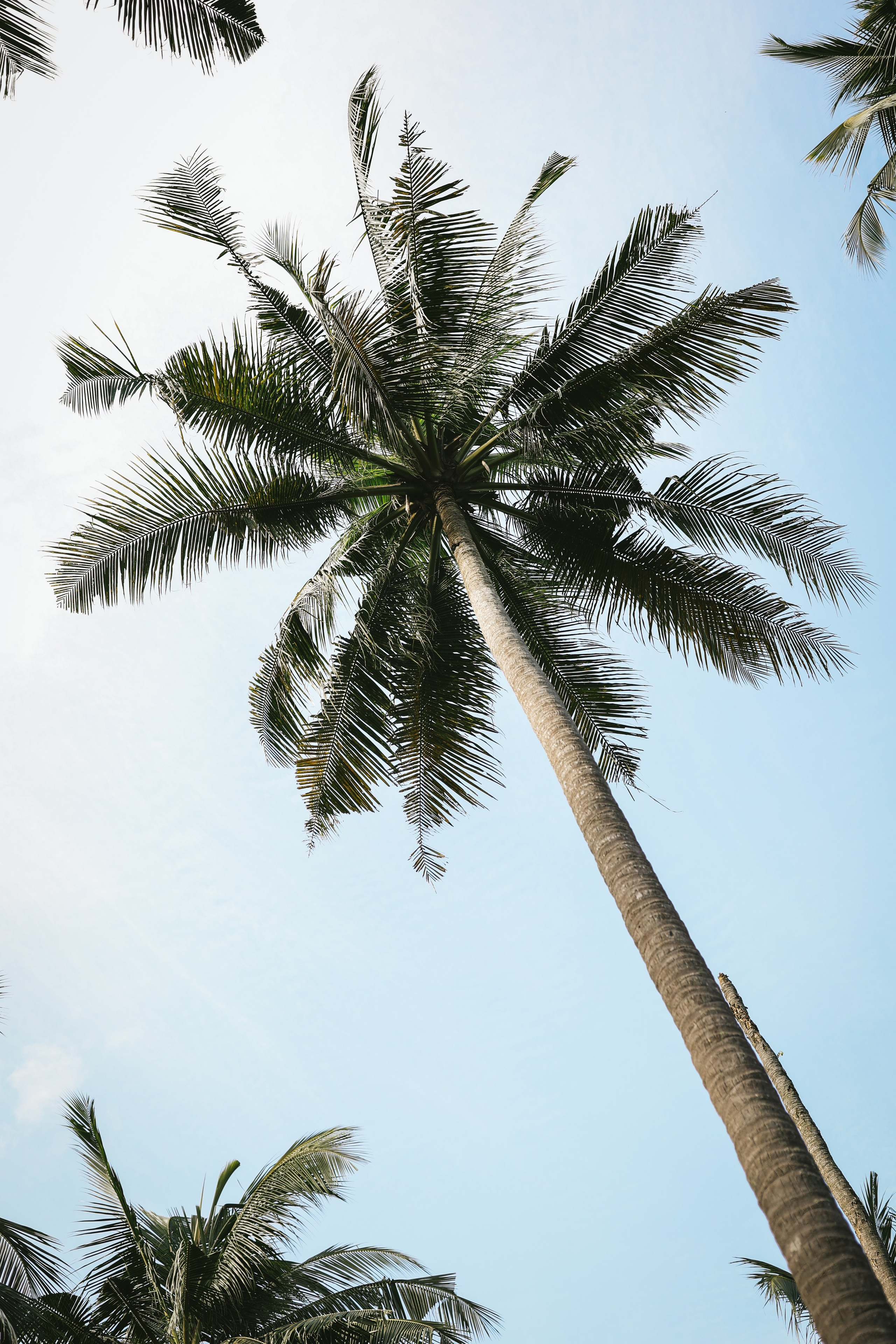 Thailand / Ban Sainai Resort. Ekaterina Buneeva Photography