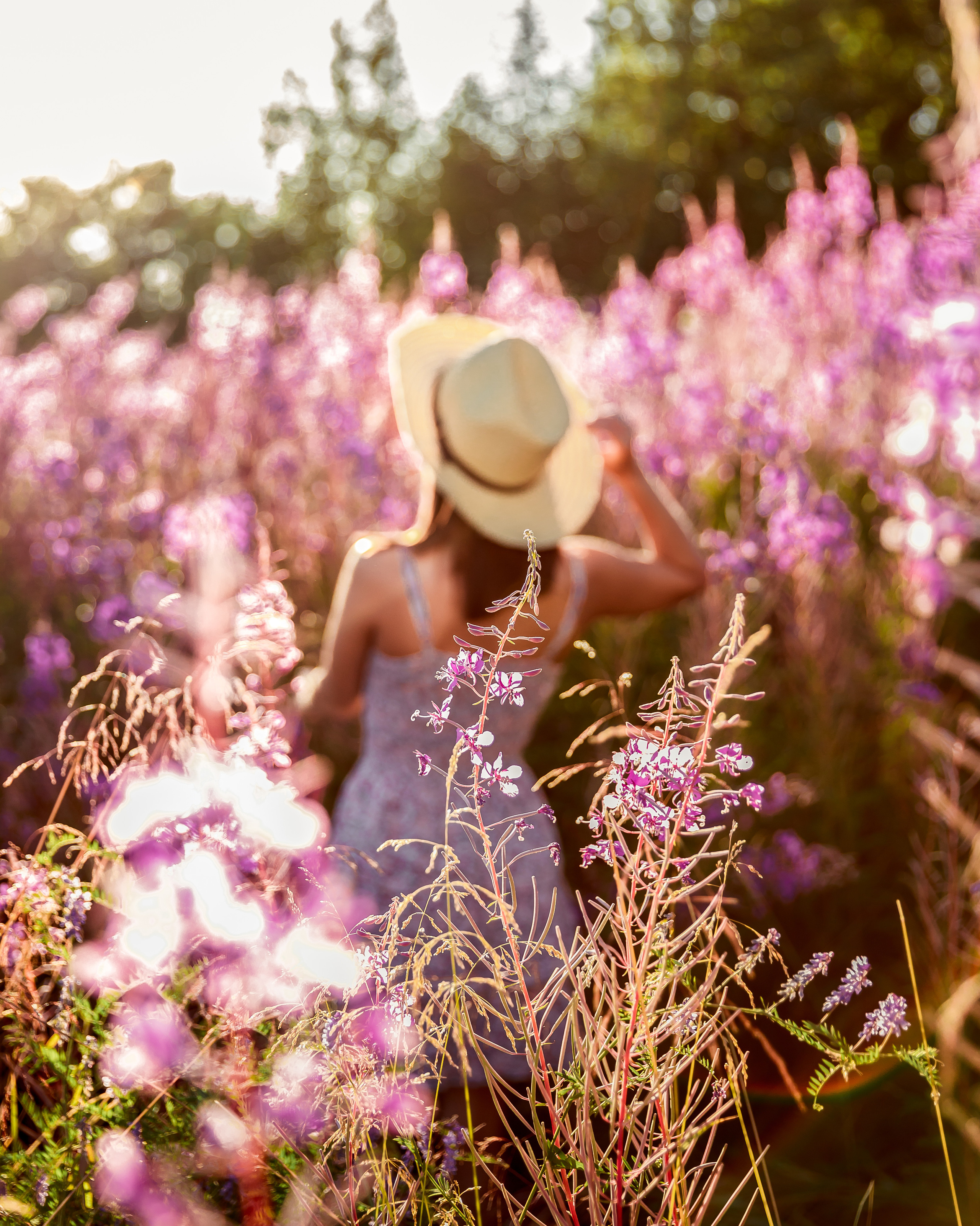 Летняя фотосессия в Мурманске. Семейный и детский фотограф в Мурманске Карина Березина