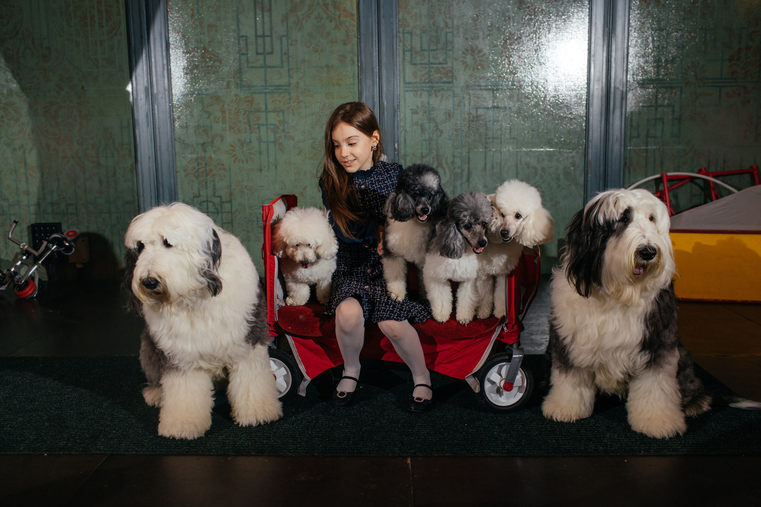 Алине 7 лет. Свадебный и семейный фотограф