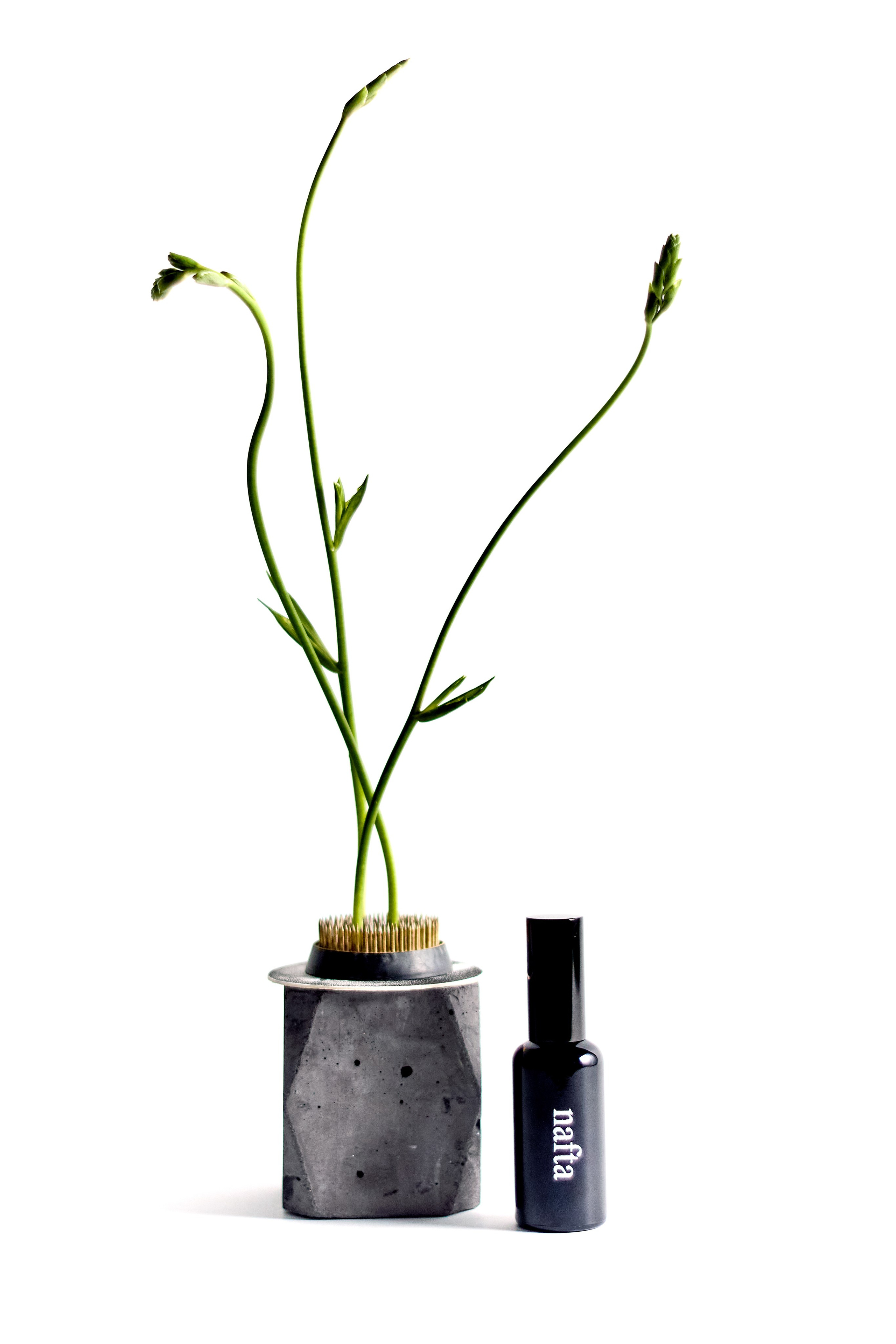 Gaze. Фотограф|Санкт-Петербург