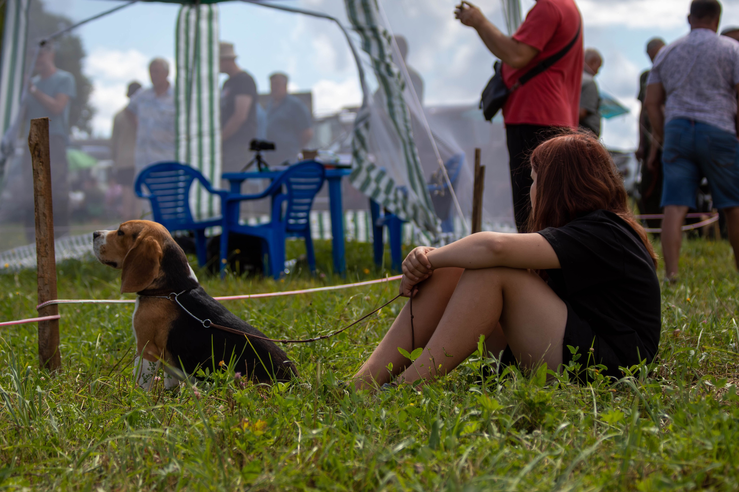 Репортажная съемка в Туле. Фотограф анималист — Тула, Москва