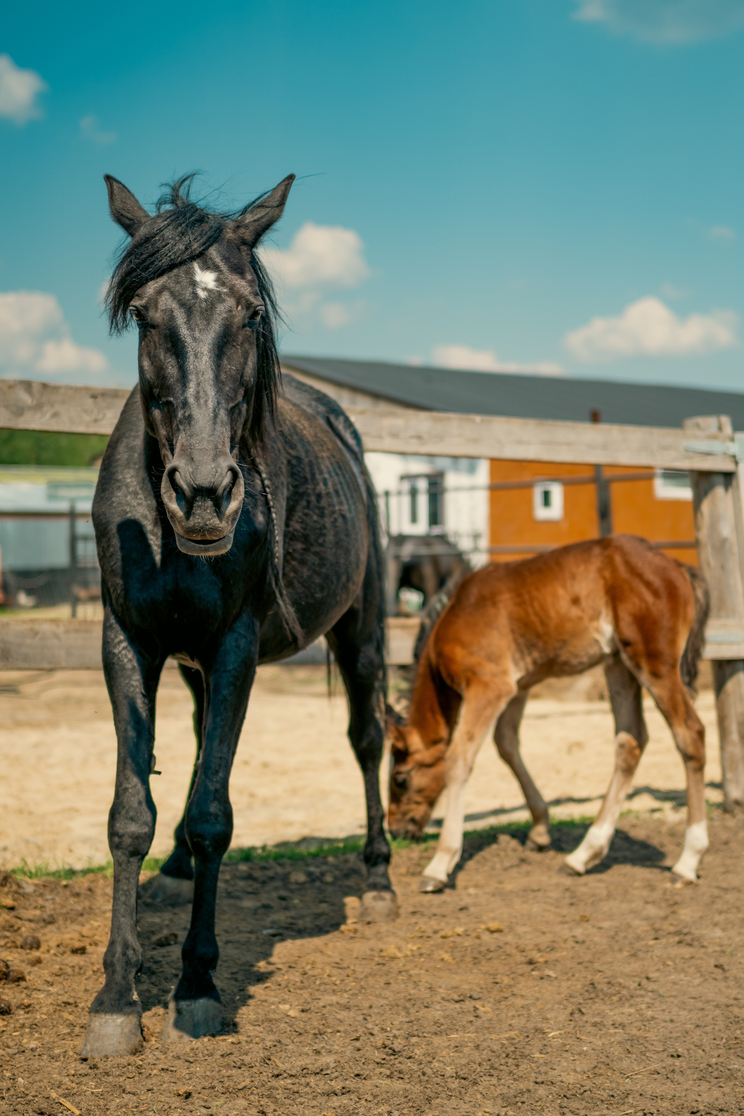 Репортаж/Портреты. …