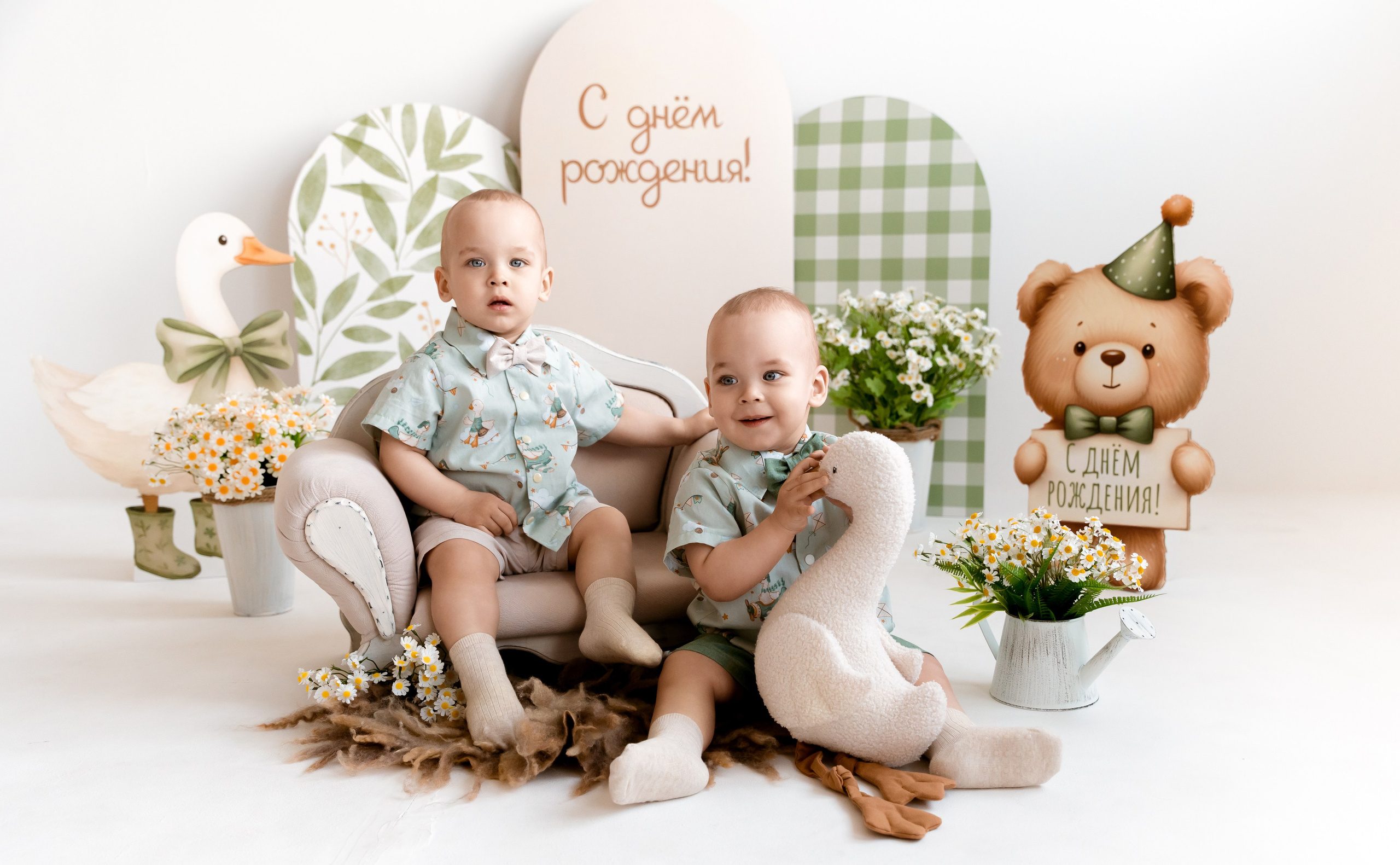 Гуси. Детский и семейный фотограф, Newborn фотограф новорожденных г. Челябинск