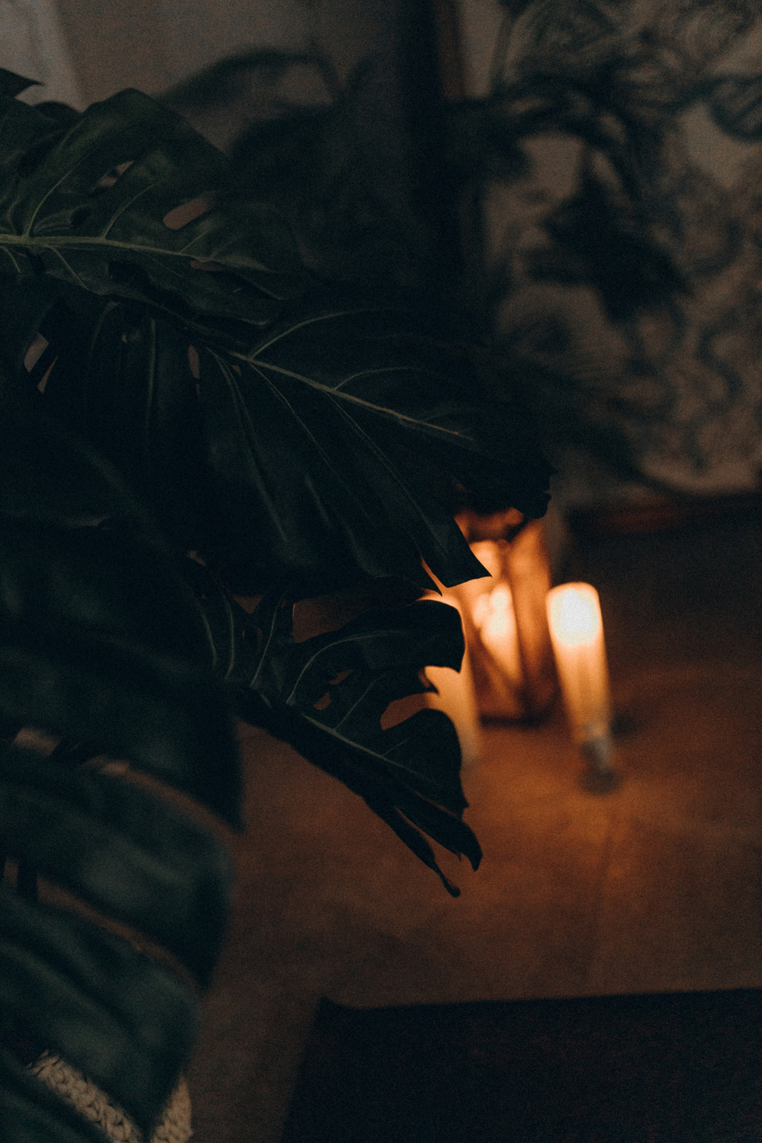 Анфиса. Йога-мастер. Фотограф НОГИНСК, Москва, Анастасия Белая