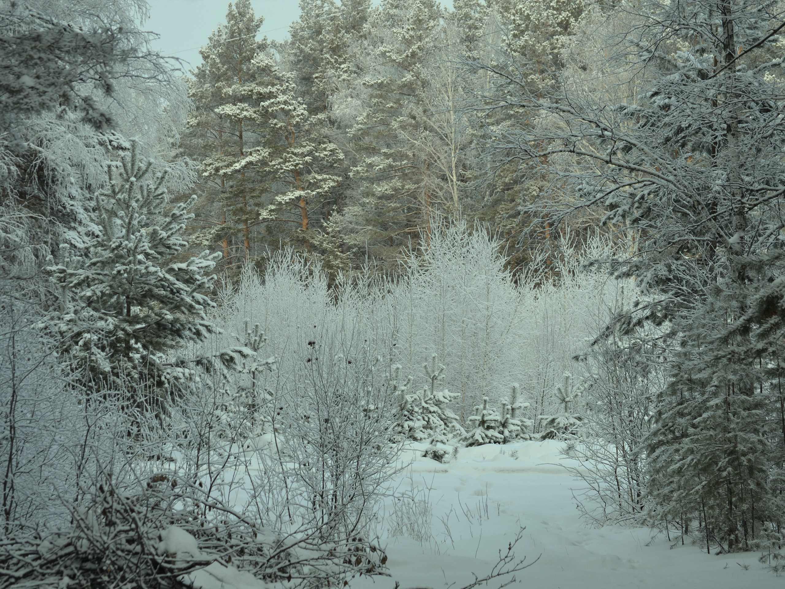 Фотограф | Видеограф в Кургане, Тюмени и Челябинске