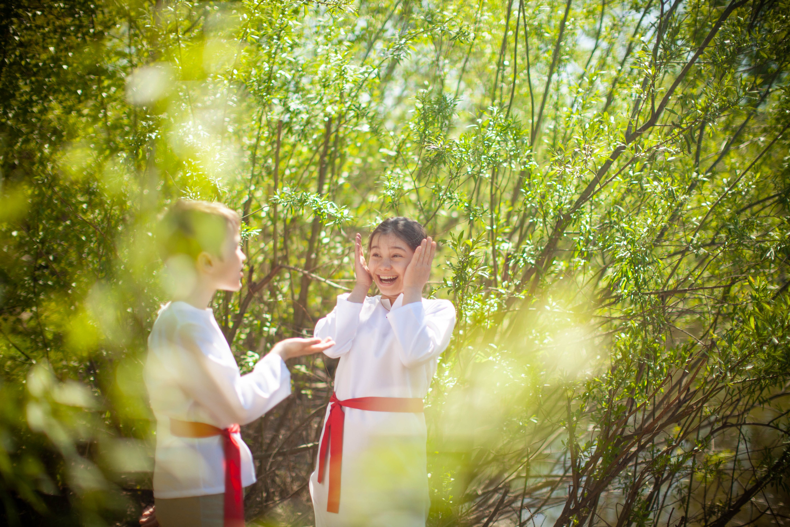 Летний день. Art my Pho