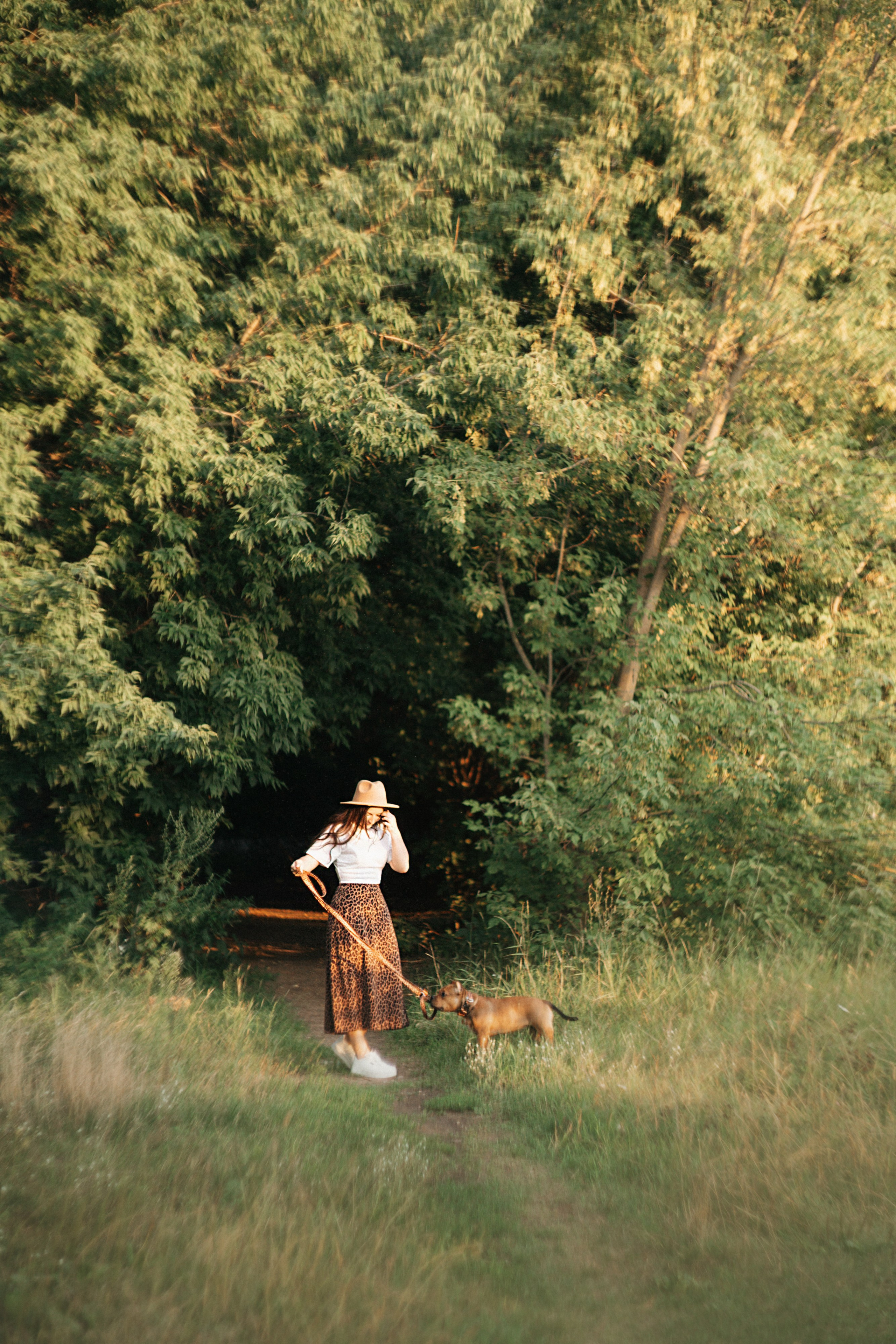 Кристина и Эфи. Фотограф анималист в Москве и Санкт-Петербурге Свиридова Анна