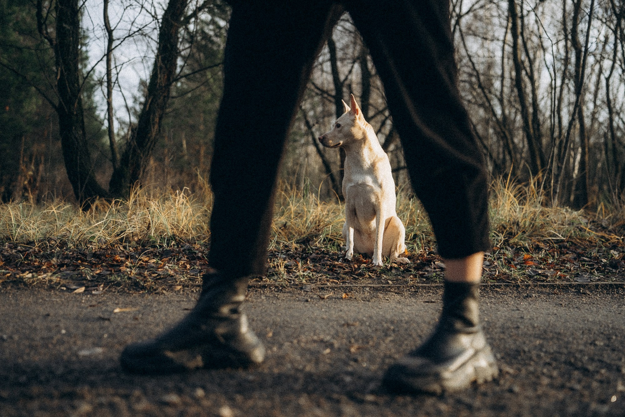 Туся. Фотограф анималист в Москве и Санкт-Петербурге Свиридова Анна