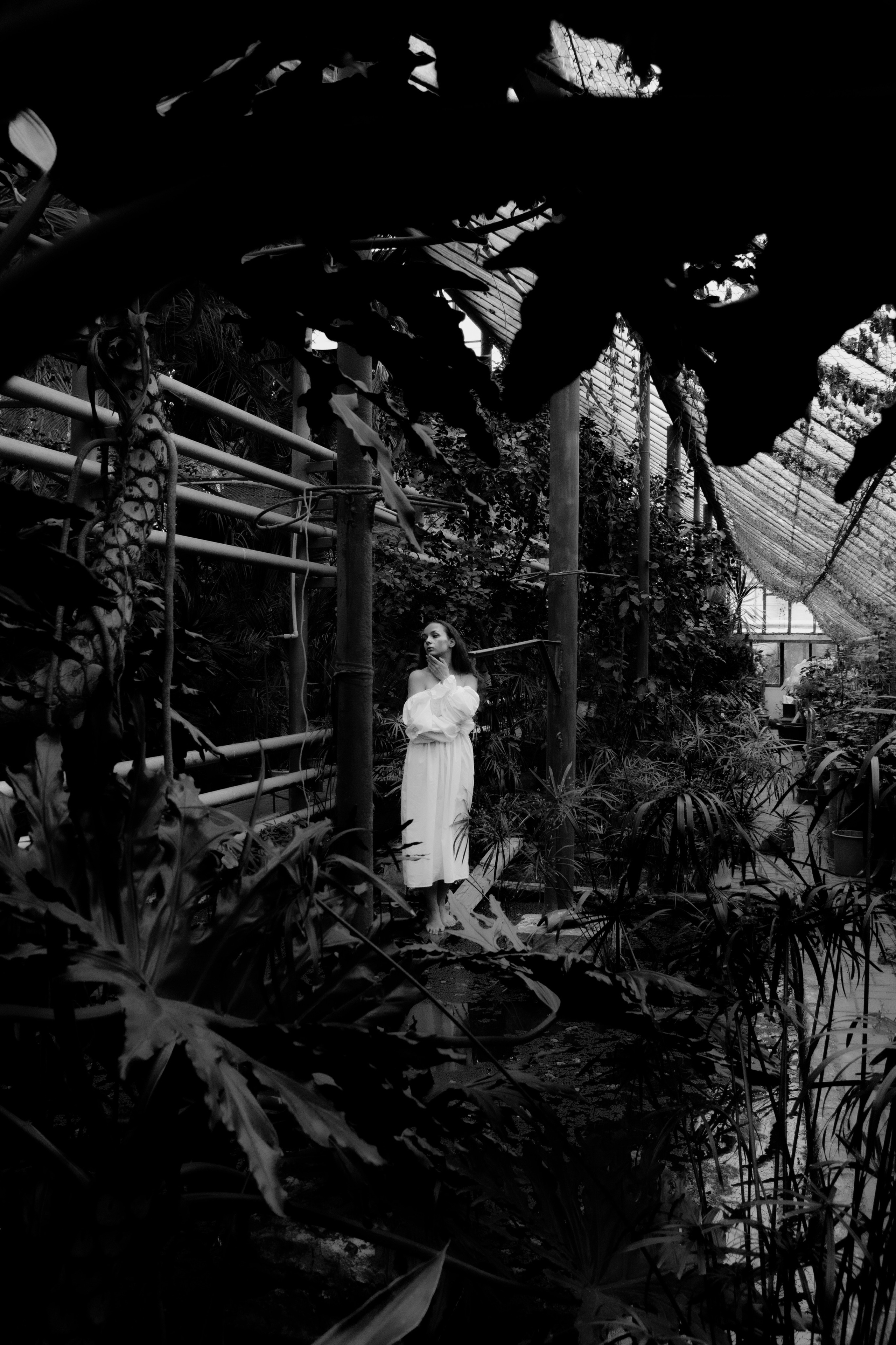 SOPHIA. Фотограф Соня Наумова