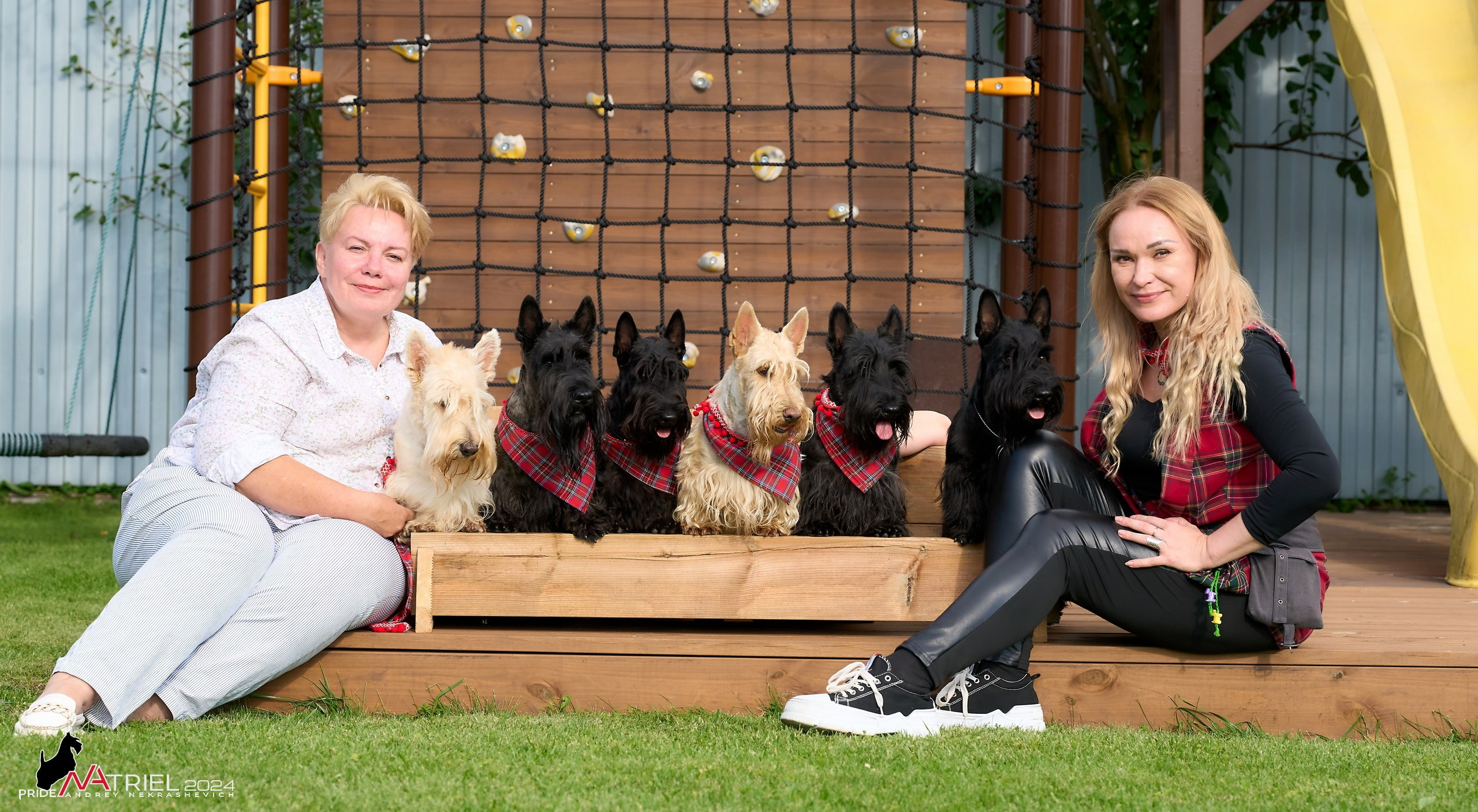 Скотчесемья «ИмпериалИти»