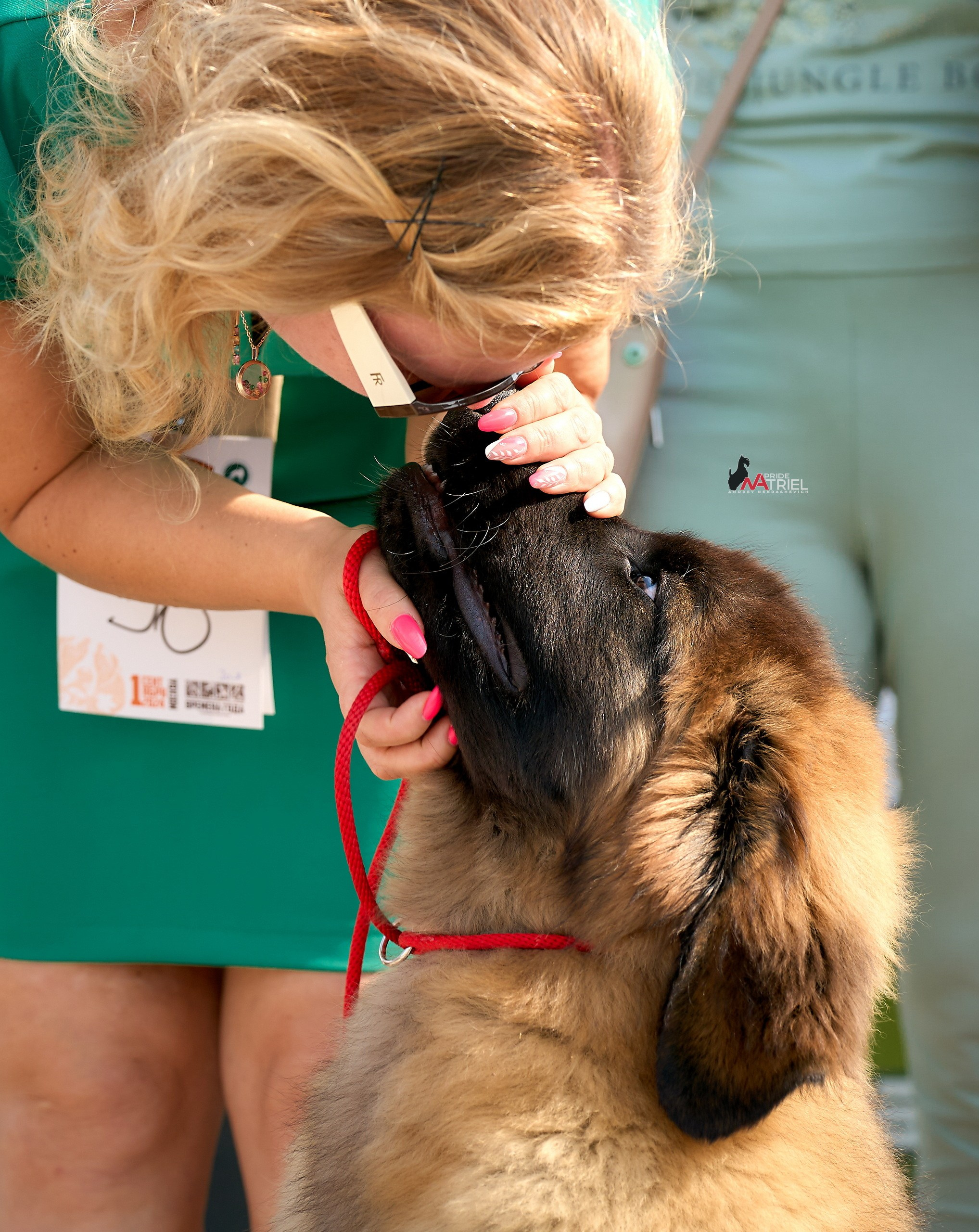 Собаки и Люди — галерея NATRIEL