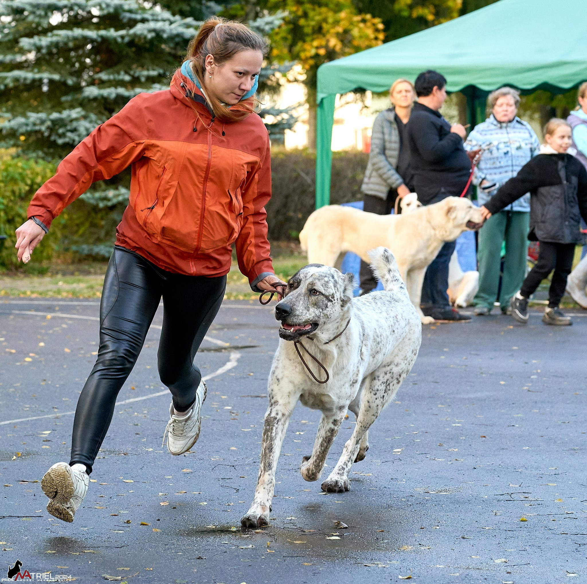 Съемка на выставке САО в Александров