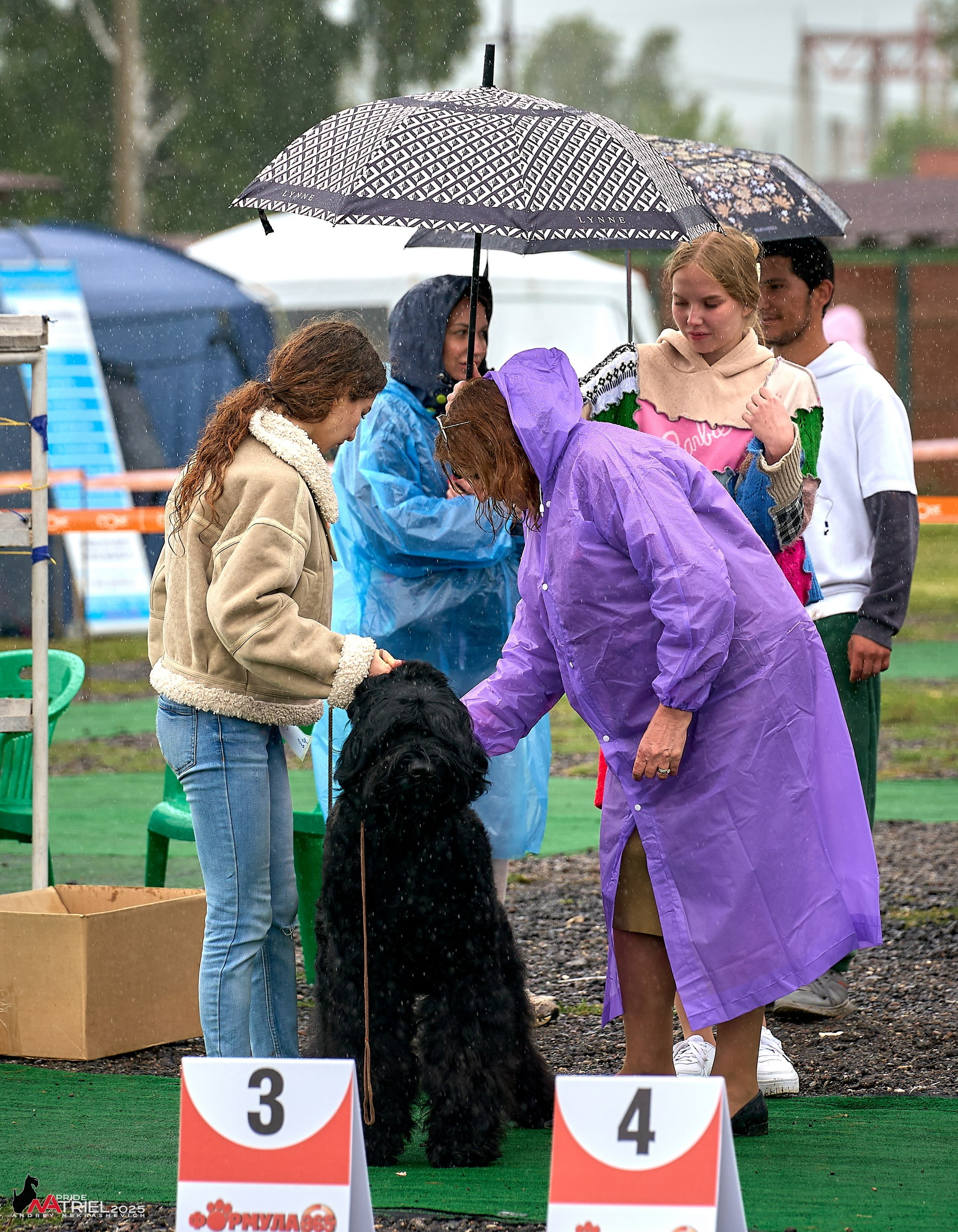 Репортаж с выставки собак