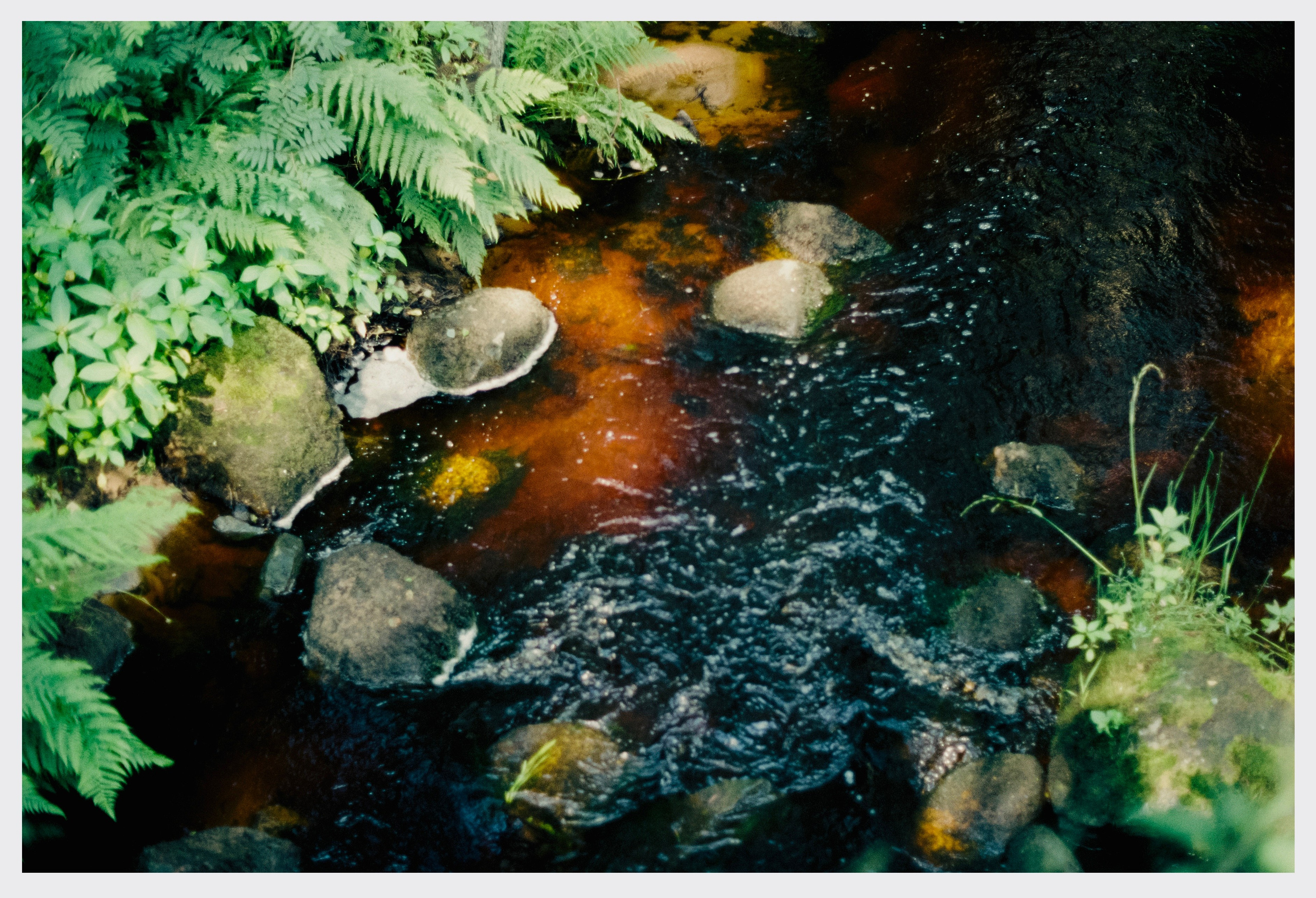 Картинки. Сандра Ковалева | ЧБ фотограф