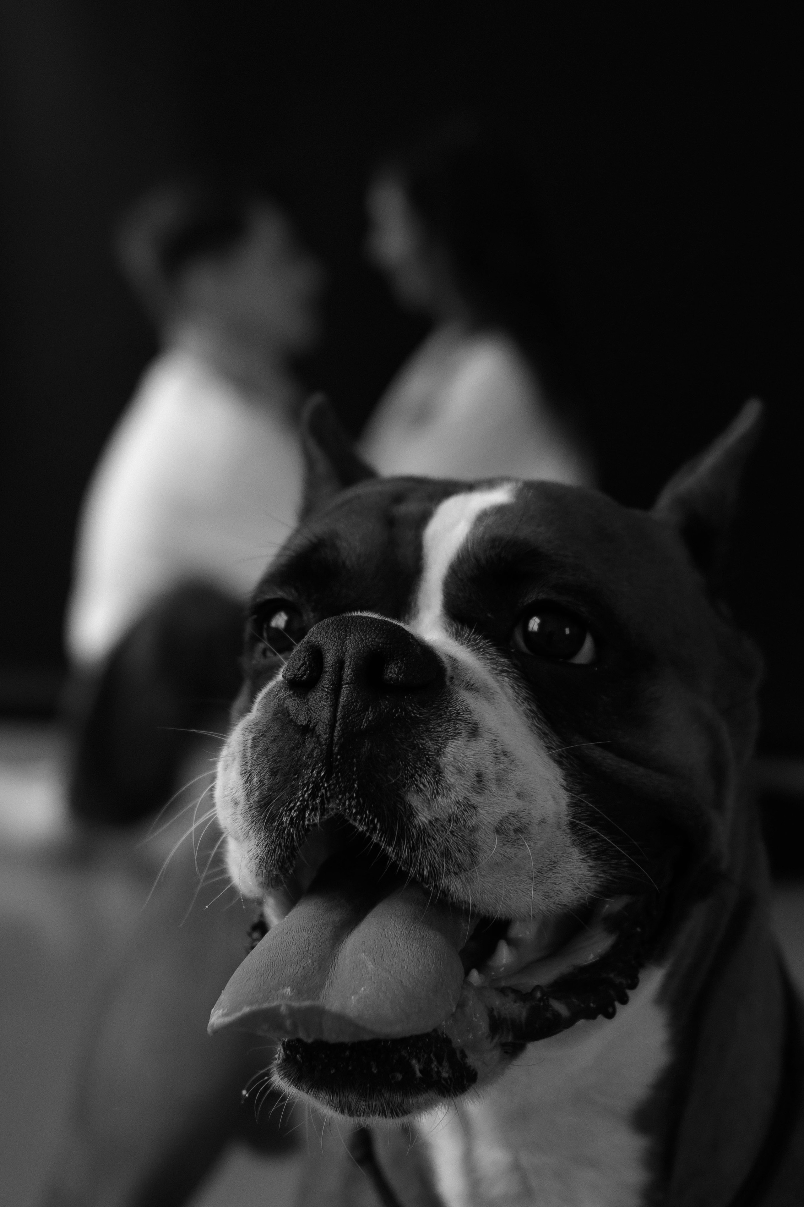 БароНовая любовь. Свадебный и женский фотограф в Ставрополе Вика Лексеева