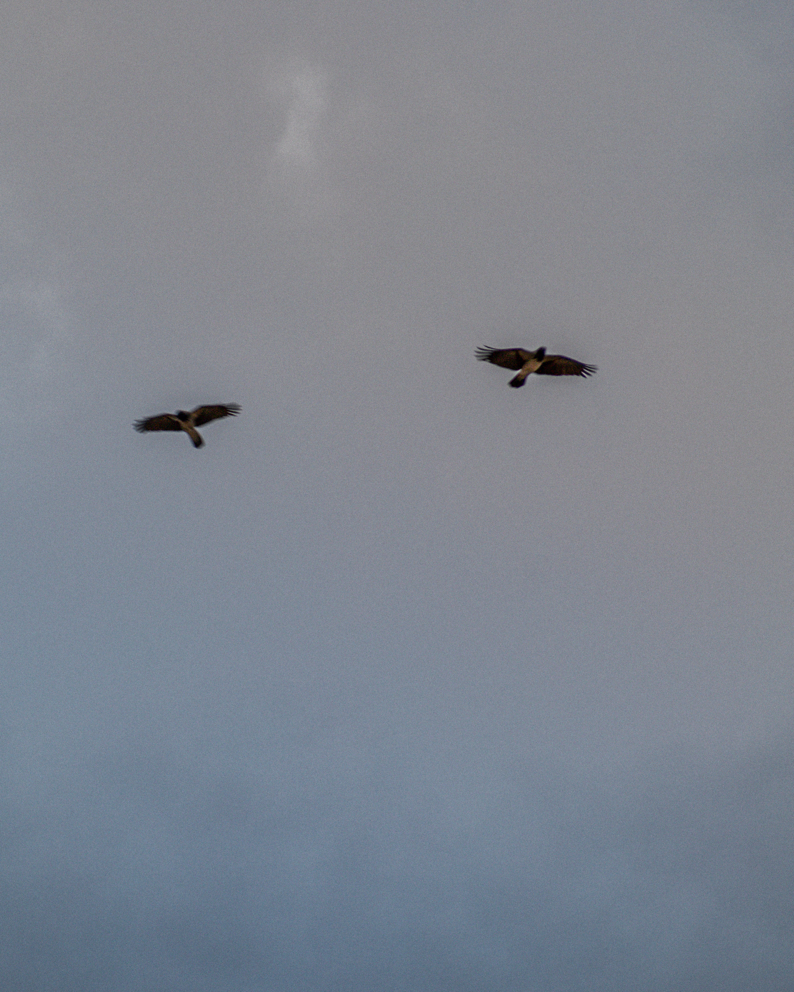 Арина. Фотограф в Самаре Анастасия Афанасьева
