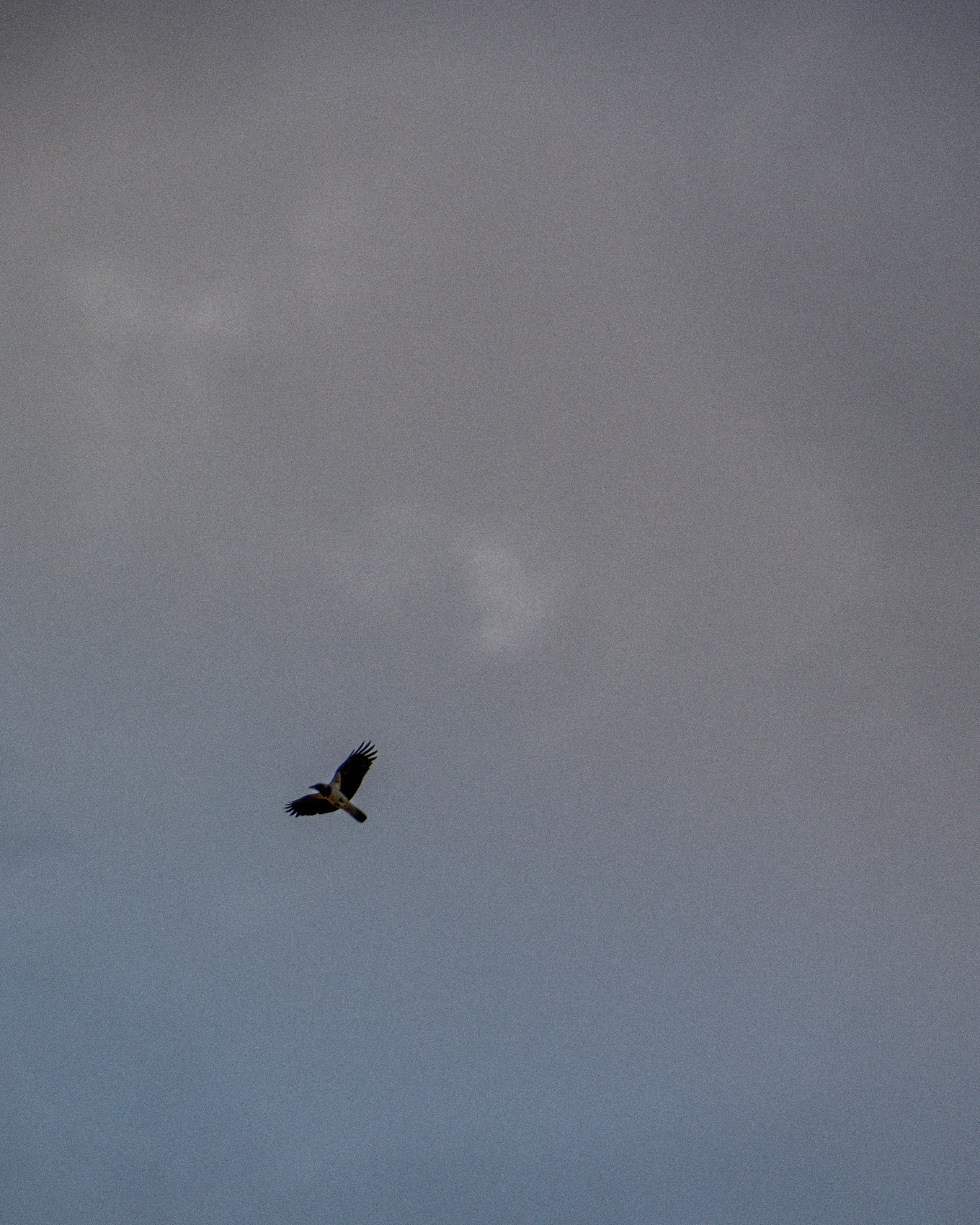 Арина. Фотограф в Самаре Анастасия Афанасьева