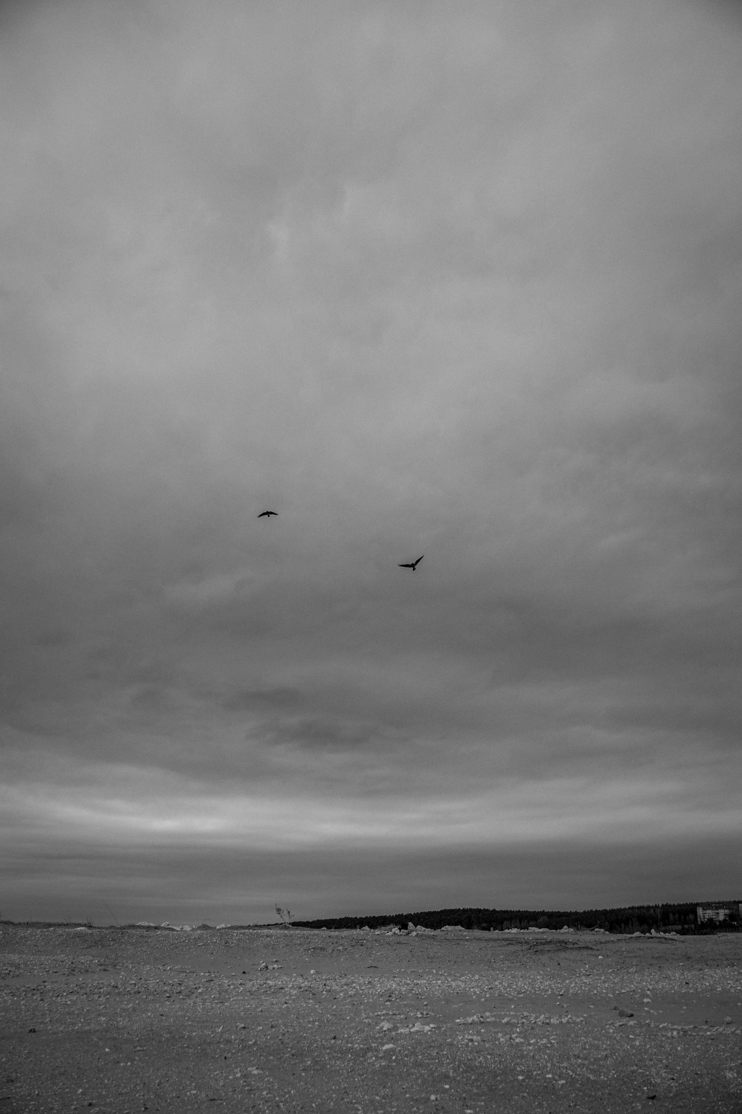 Арина. Фотограф в Самаре Анастасия Афанасьева