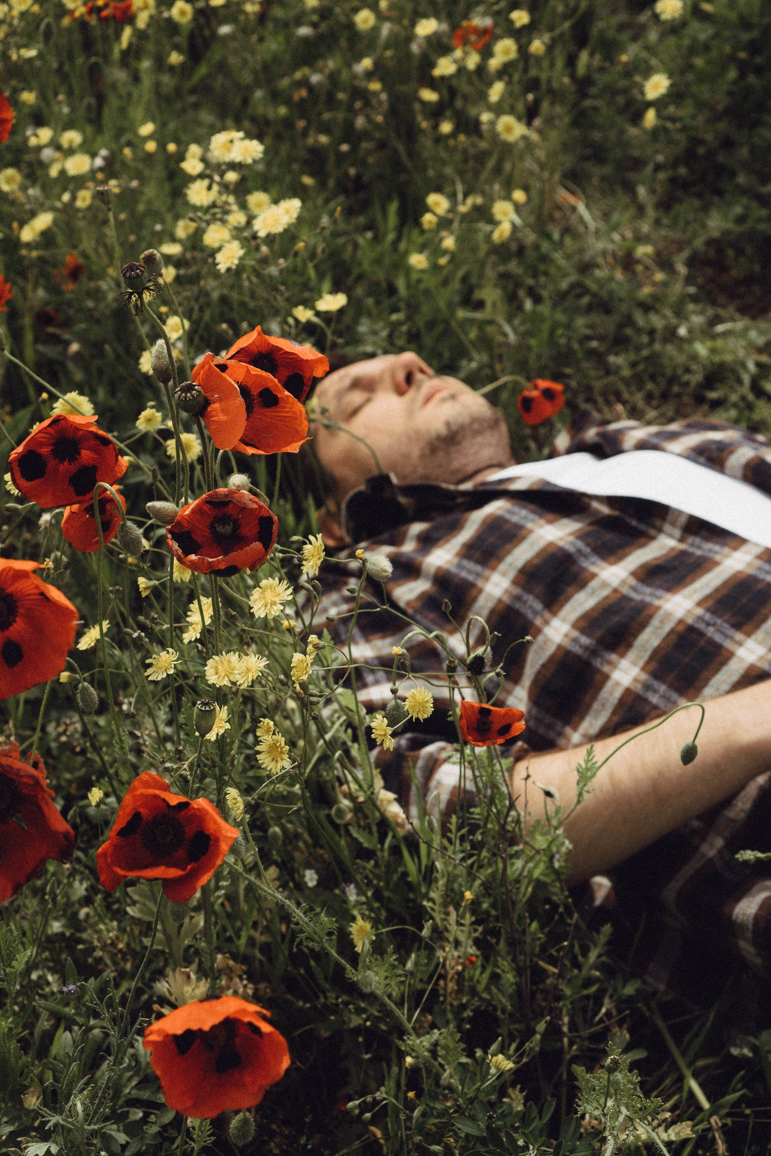 Маки. Профессиональный фотограф, Санкт-Петербург — Виктория Богомолова