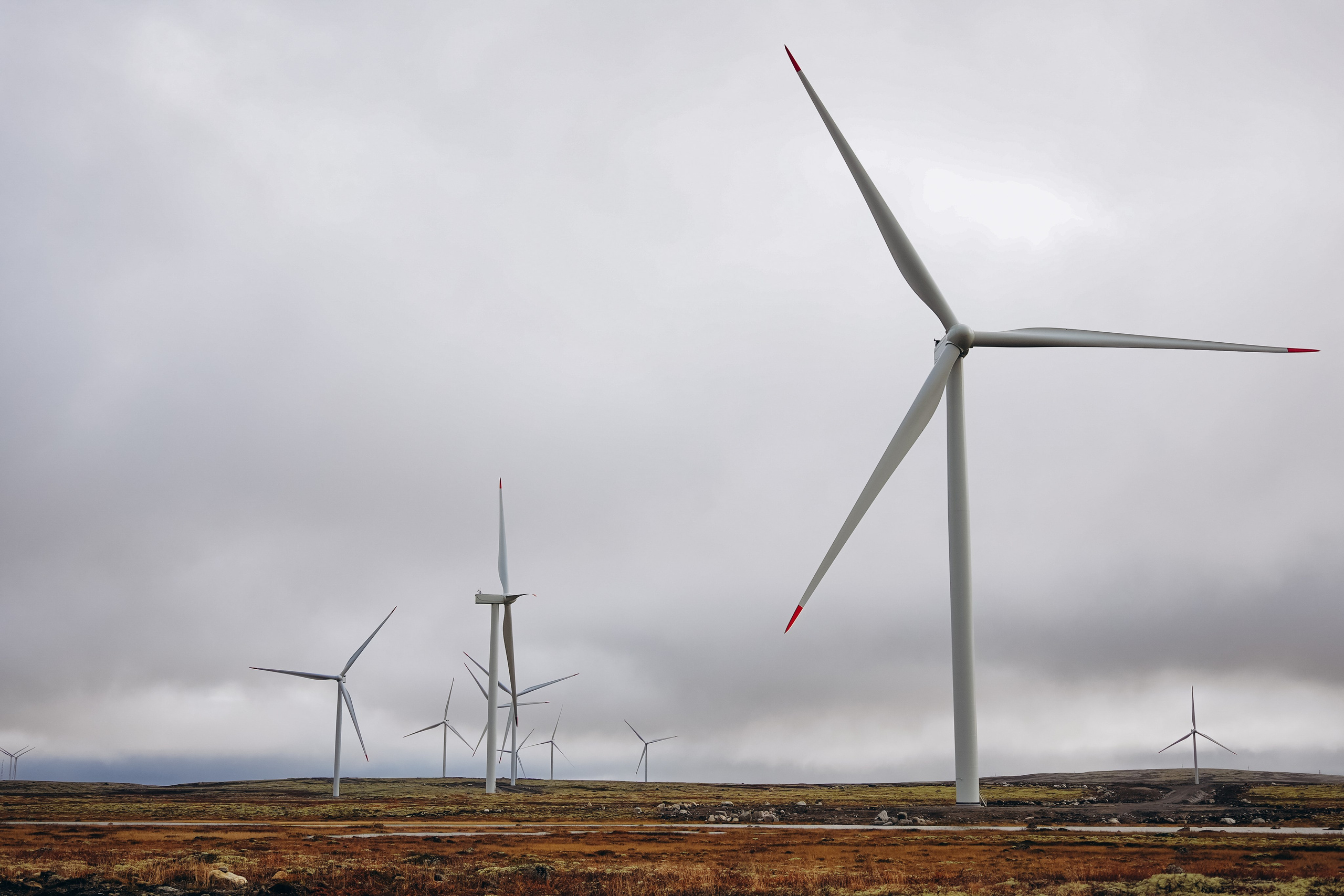 СЕВЕР. Event фотограф Степанова Александра